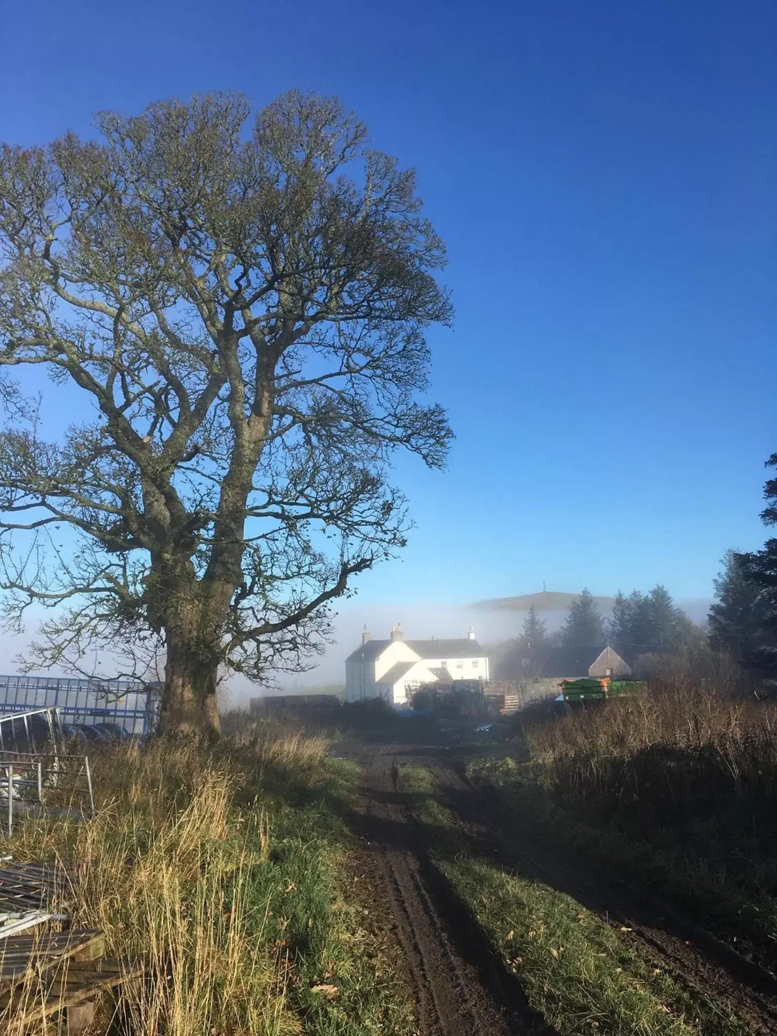 Natural landscape in Ladyurd Farmhouse