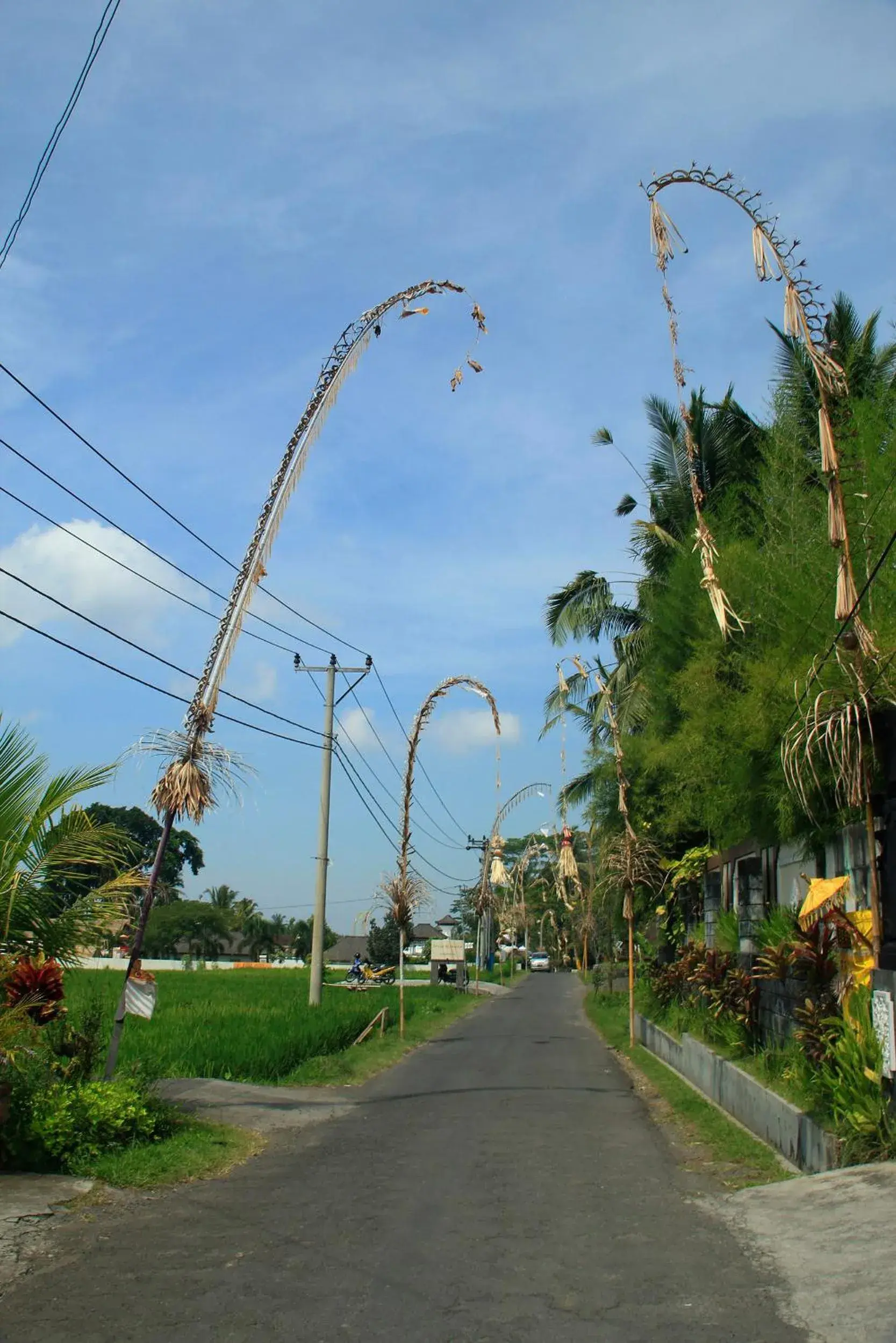 Area and facilities in Junjungan Ubud Hotel & Spa