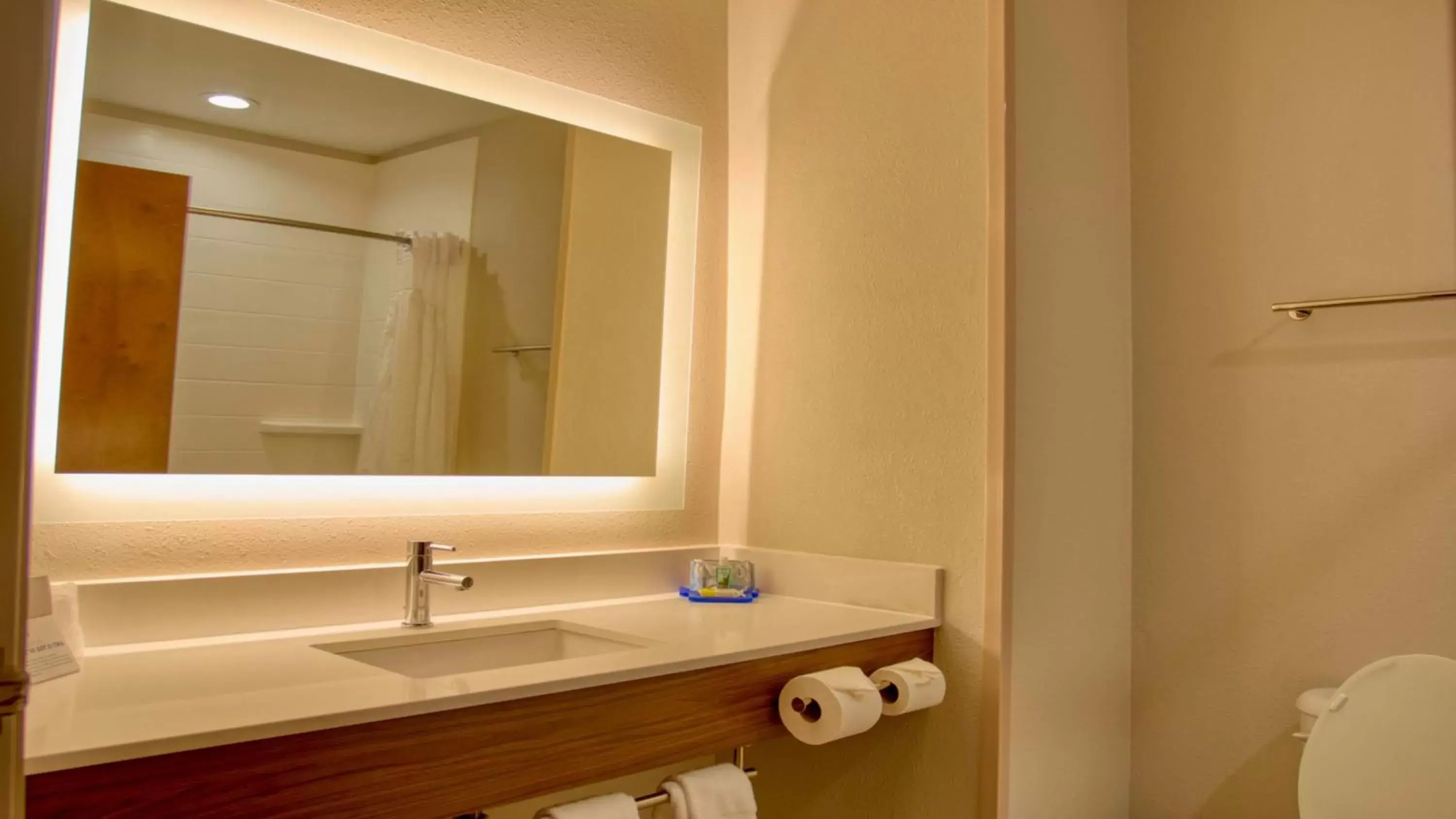 Photo of the whole room, Bathroom in Holiday Inn Express Hotel & Suites Byram, an IHG Hotel