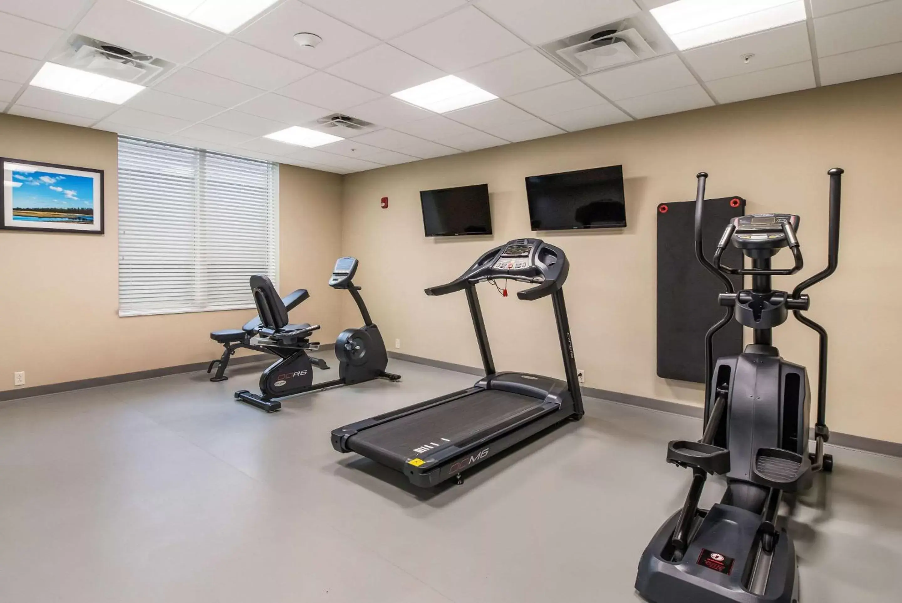 Fitness centre/facilities, Fitness Center/Facilities in MainStay Suites