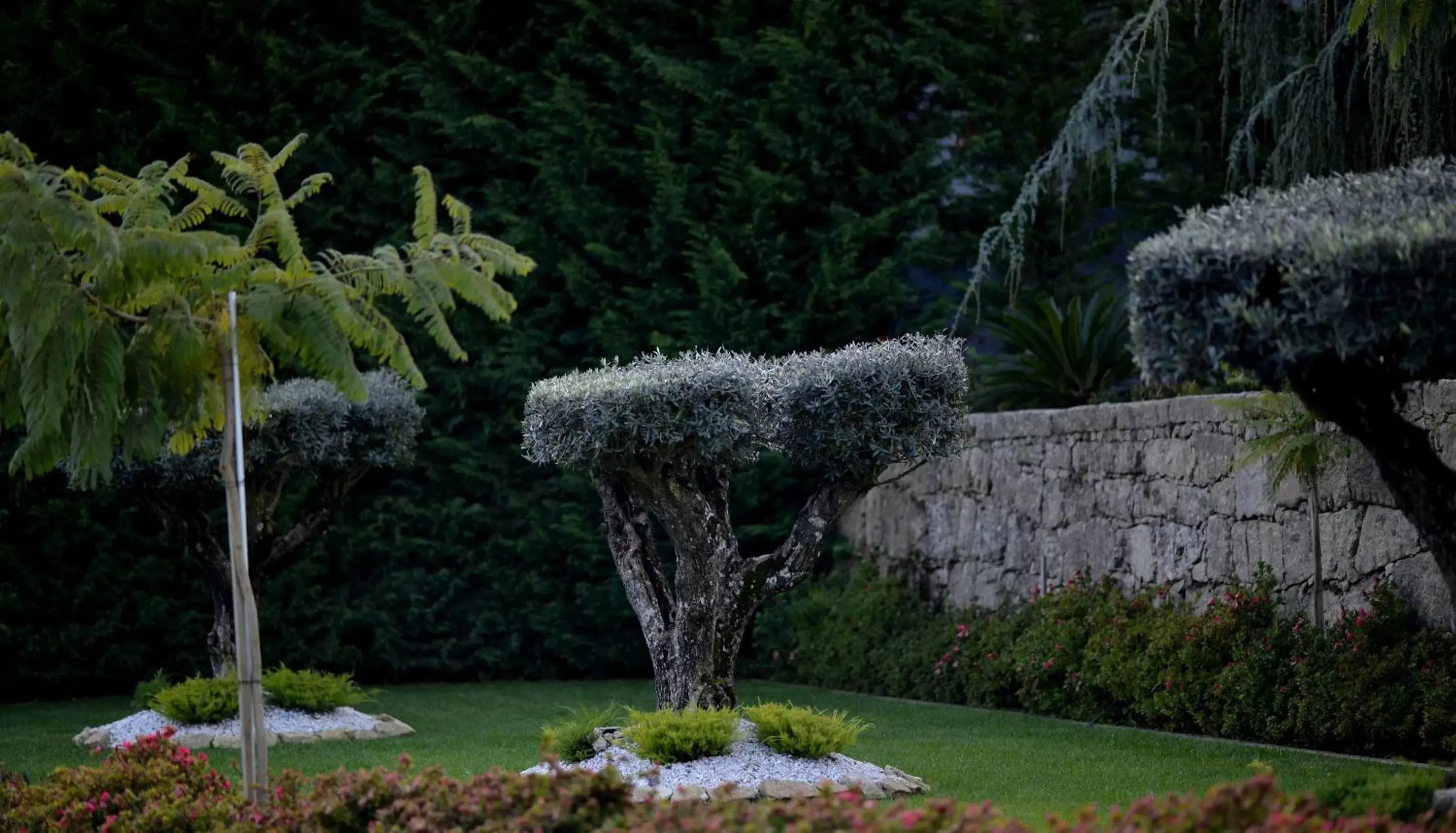 Natural landscape, Garden in Casa das Carpas