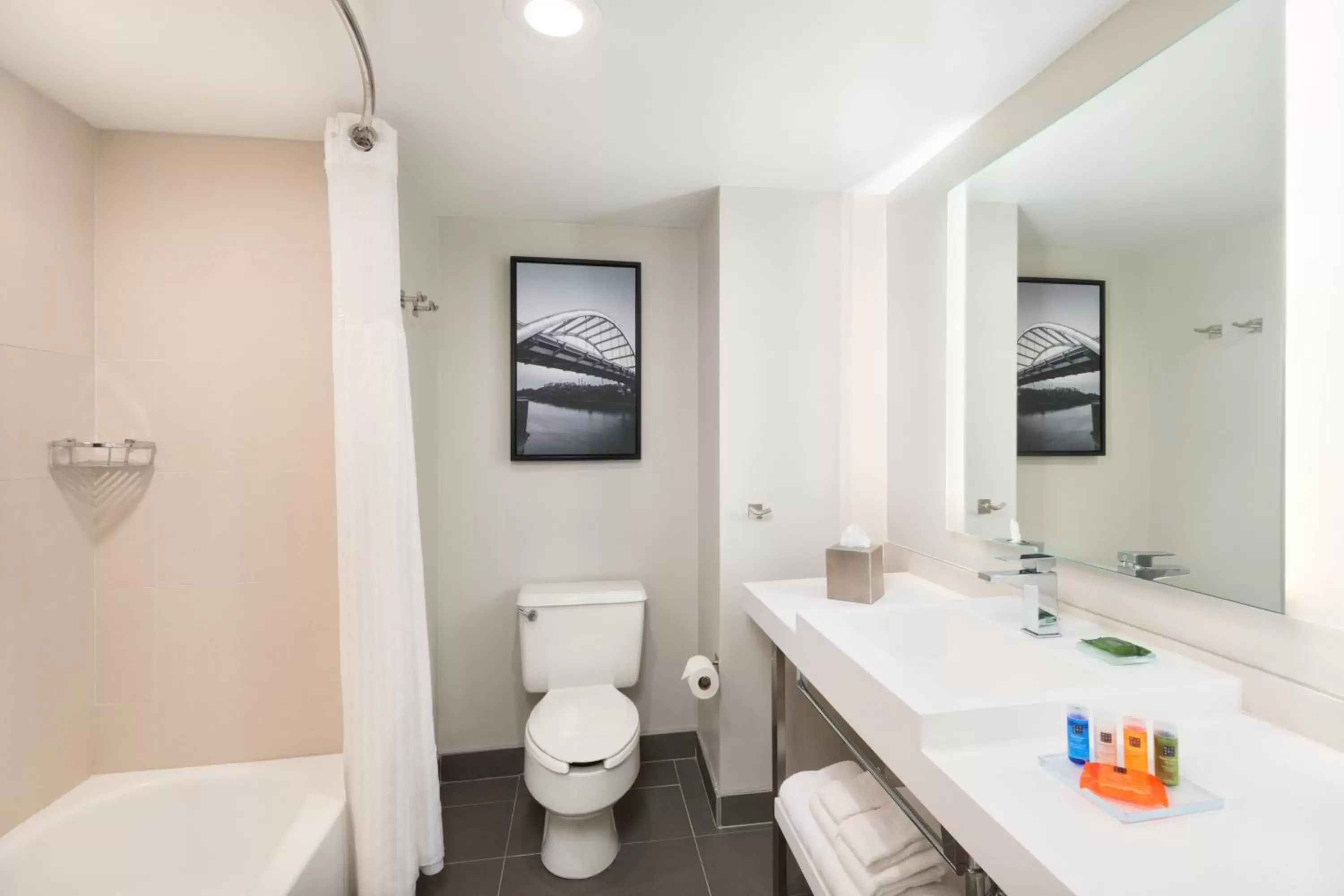 Toilet, Bathroom in Radisson Hotel Nashville Airport