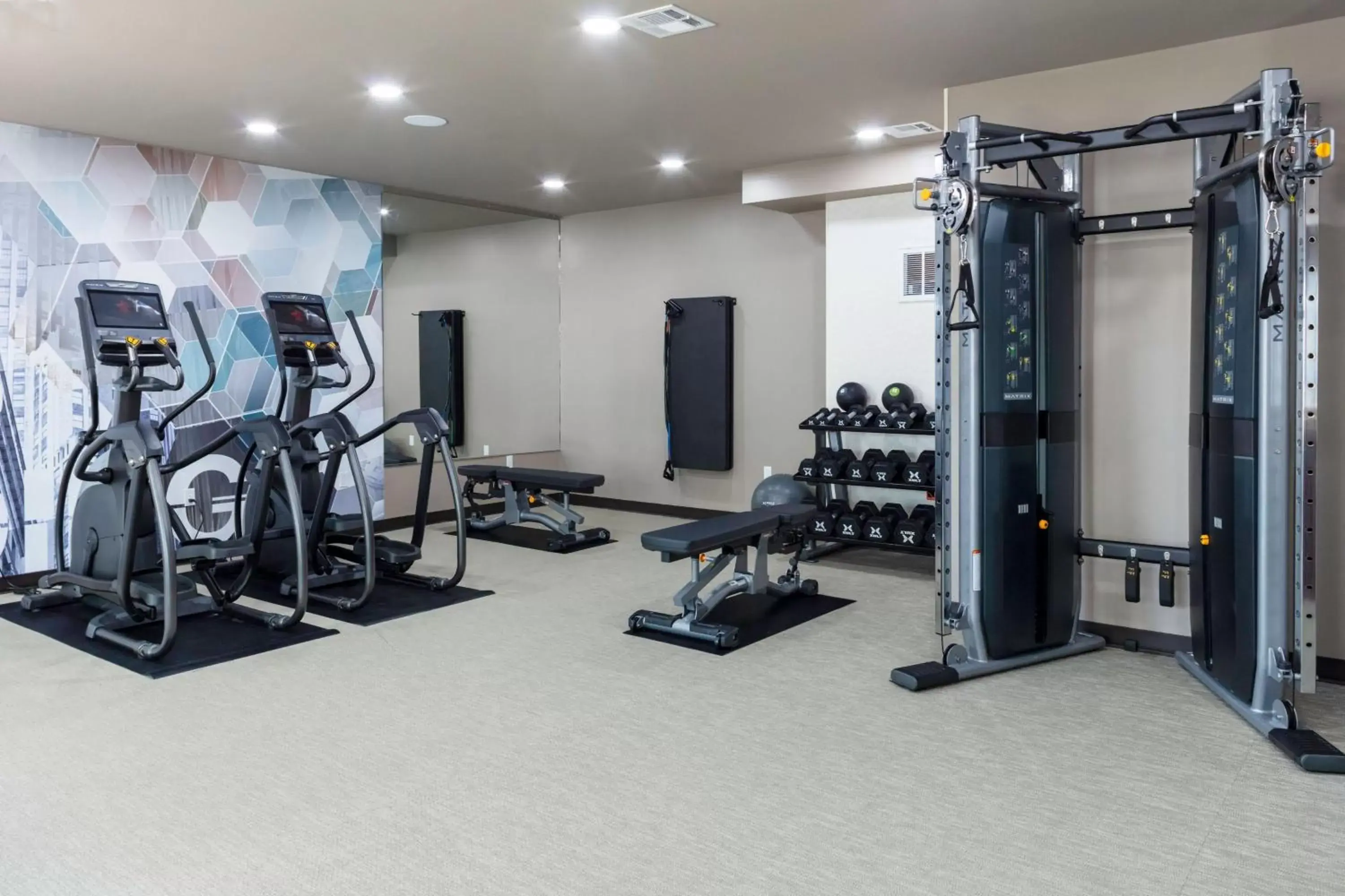 Fitness centre/facilities, Fitness Center/Facilities in SpringHill Suites by Marriott Baton Rouge South