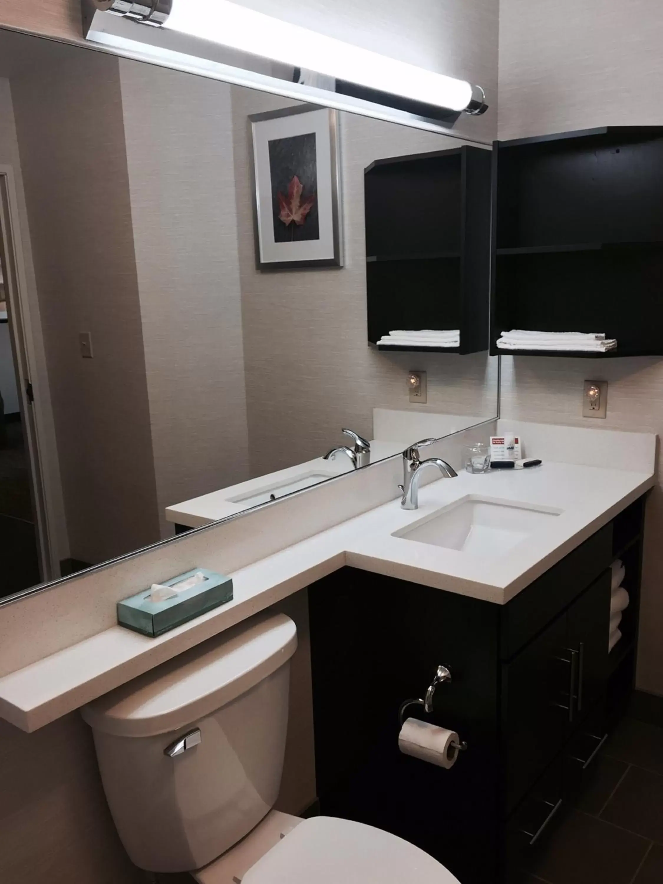 Bathroom in Candlewood Suites Youngstown W - I-80 Niles Area, an IHG Hotel