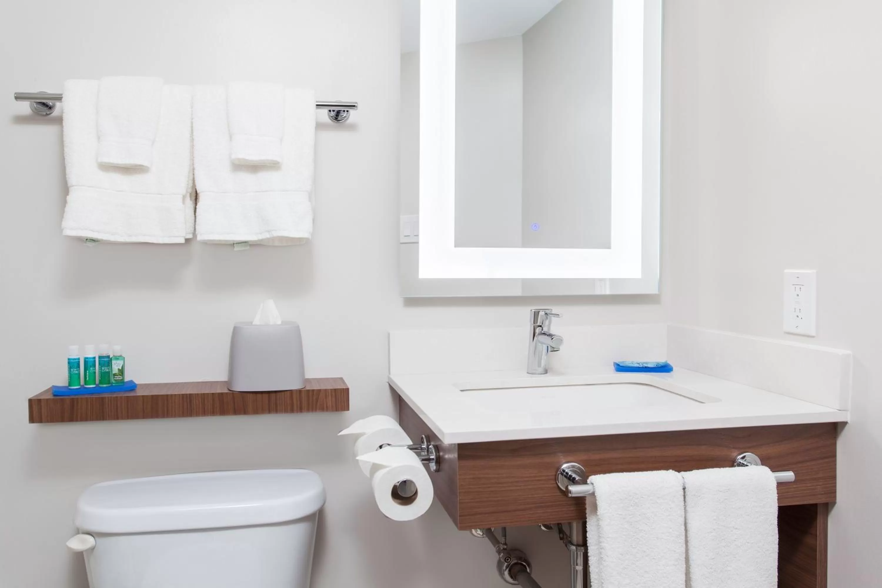 Bathroom in Holiday Inn Express & Suites Mississauga-Toronto Southwest by IHG