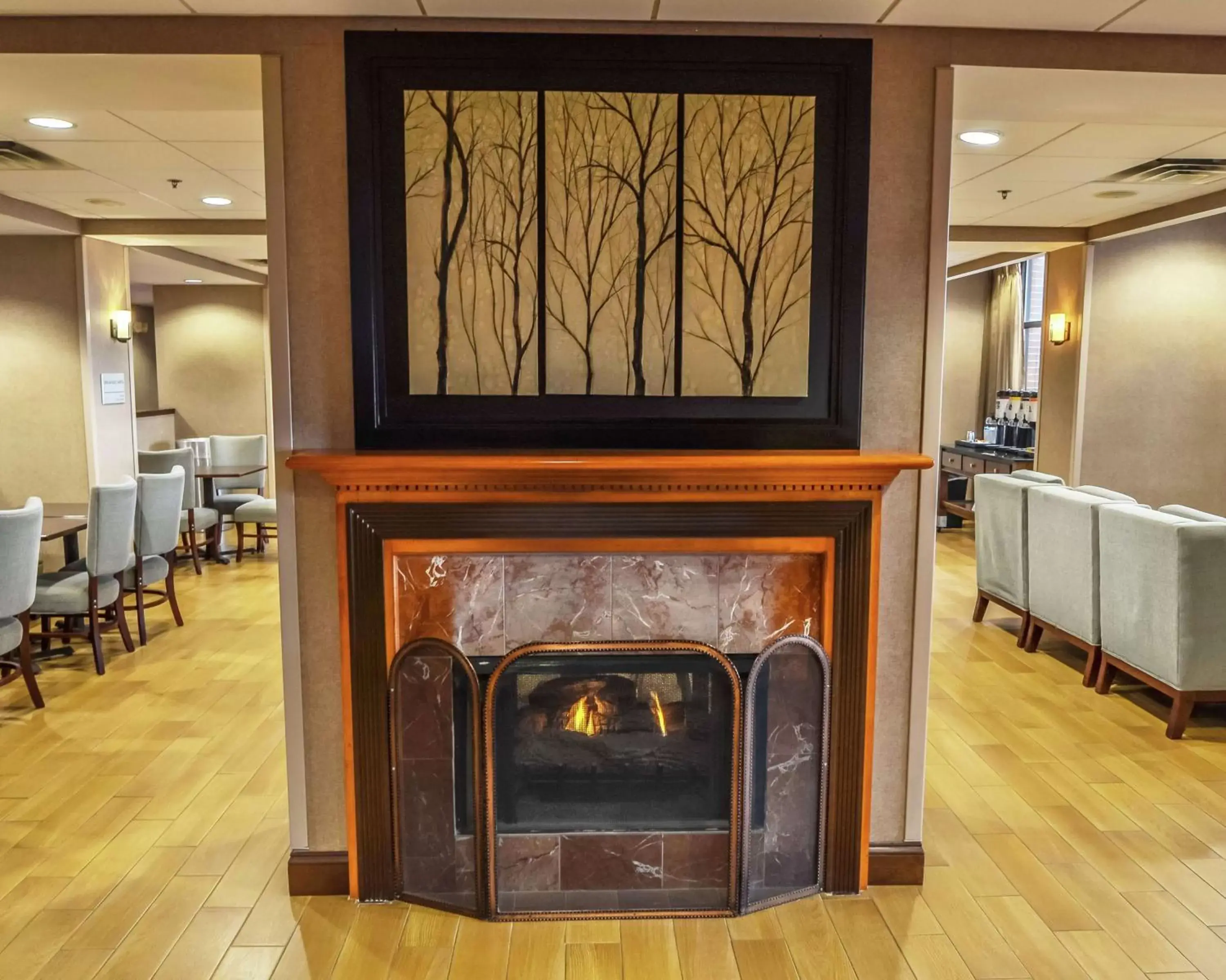 Lobby or reception in Hampton Inn Fort Payne