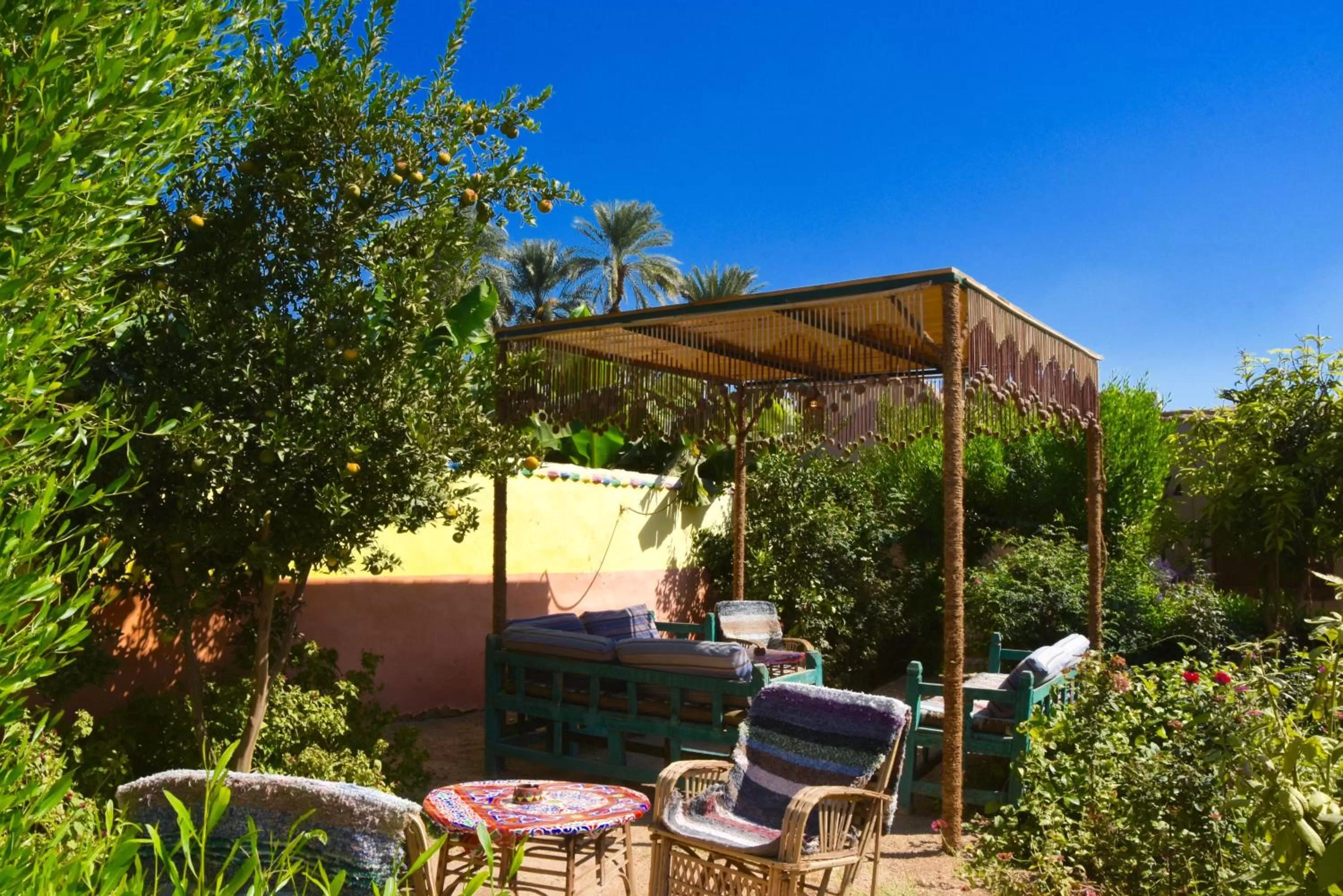 Day in Al Baeirat Hotel