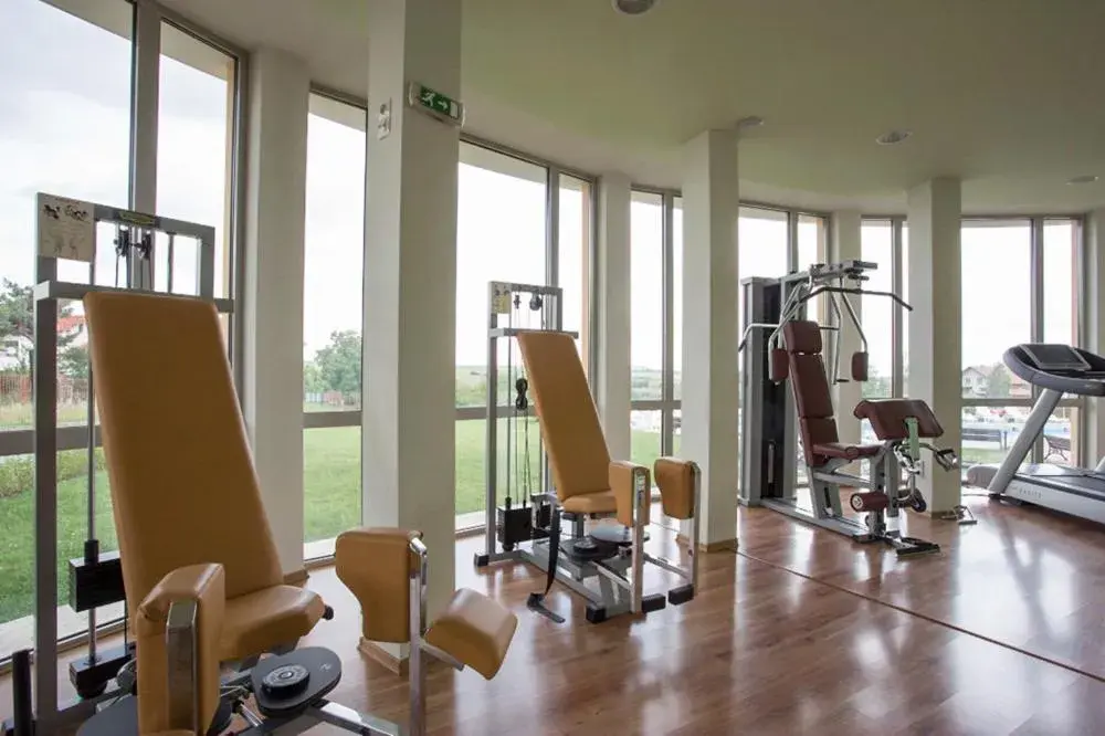 Fitness centre/facilities in Hotel Bankya Palace Fitness centre/facilities in Hotel Bankya Palace