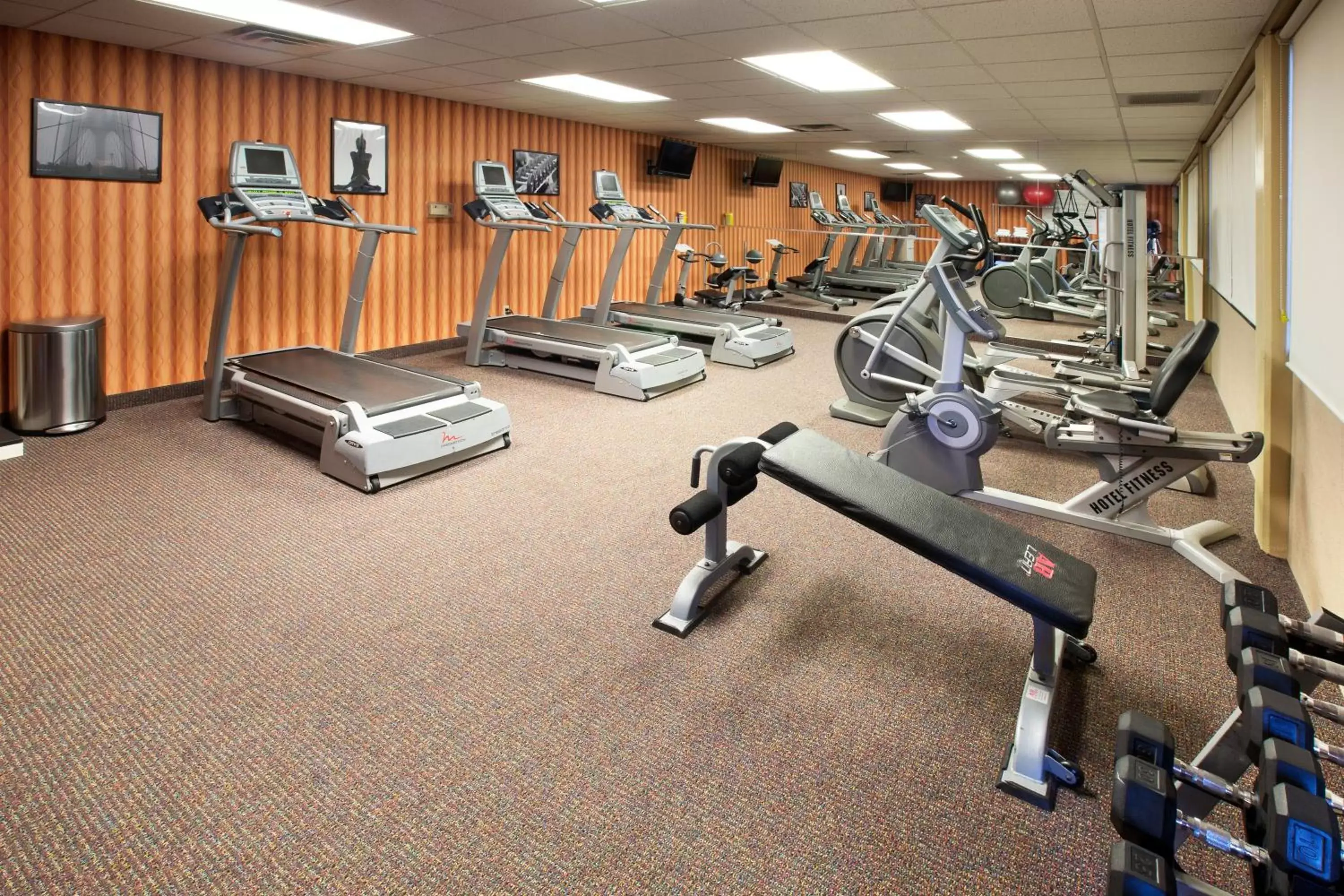 Spa and wellness centre/facilities, Fitness Center/Facilities in Holiday Inn Sioux Falls-City Center, an IHG Hotel