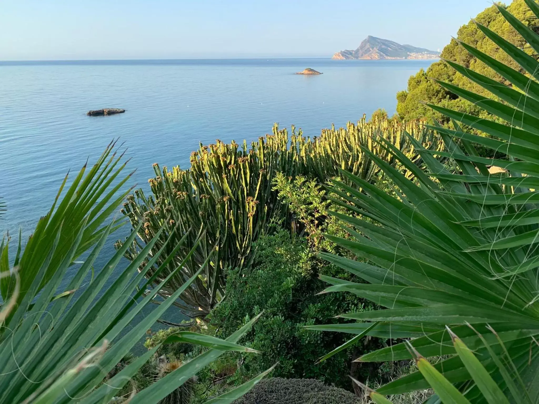 Sea view in El jardin Botánico Villa LUZ