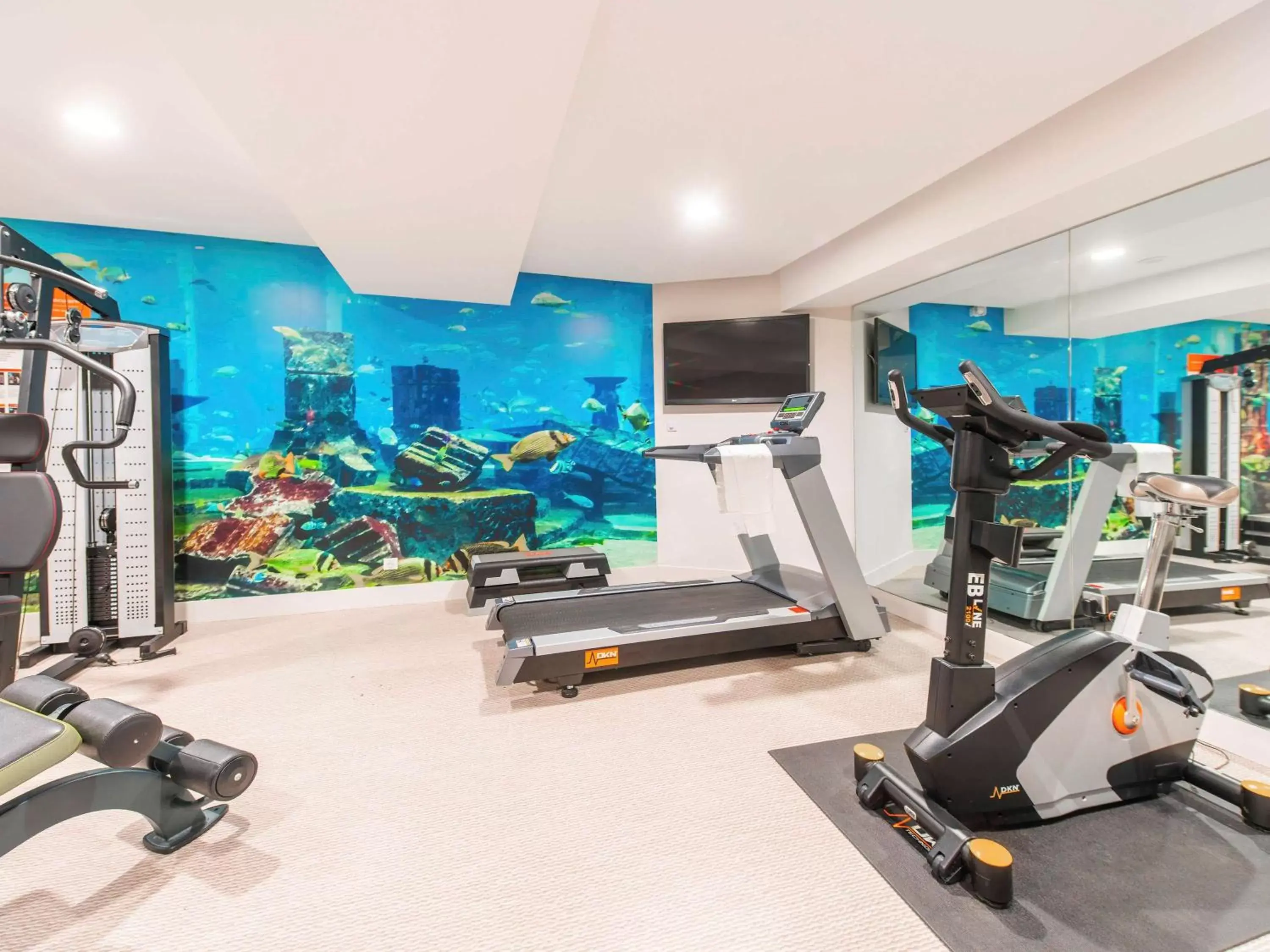 Other, Fitness Center/Facilities in ibis Styles La Rochelle Centre