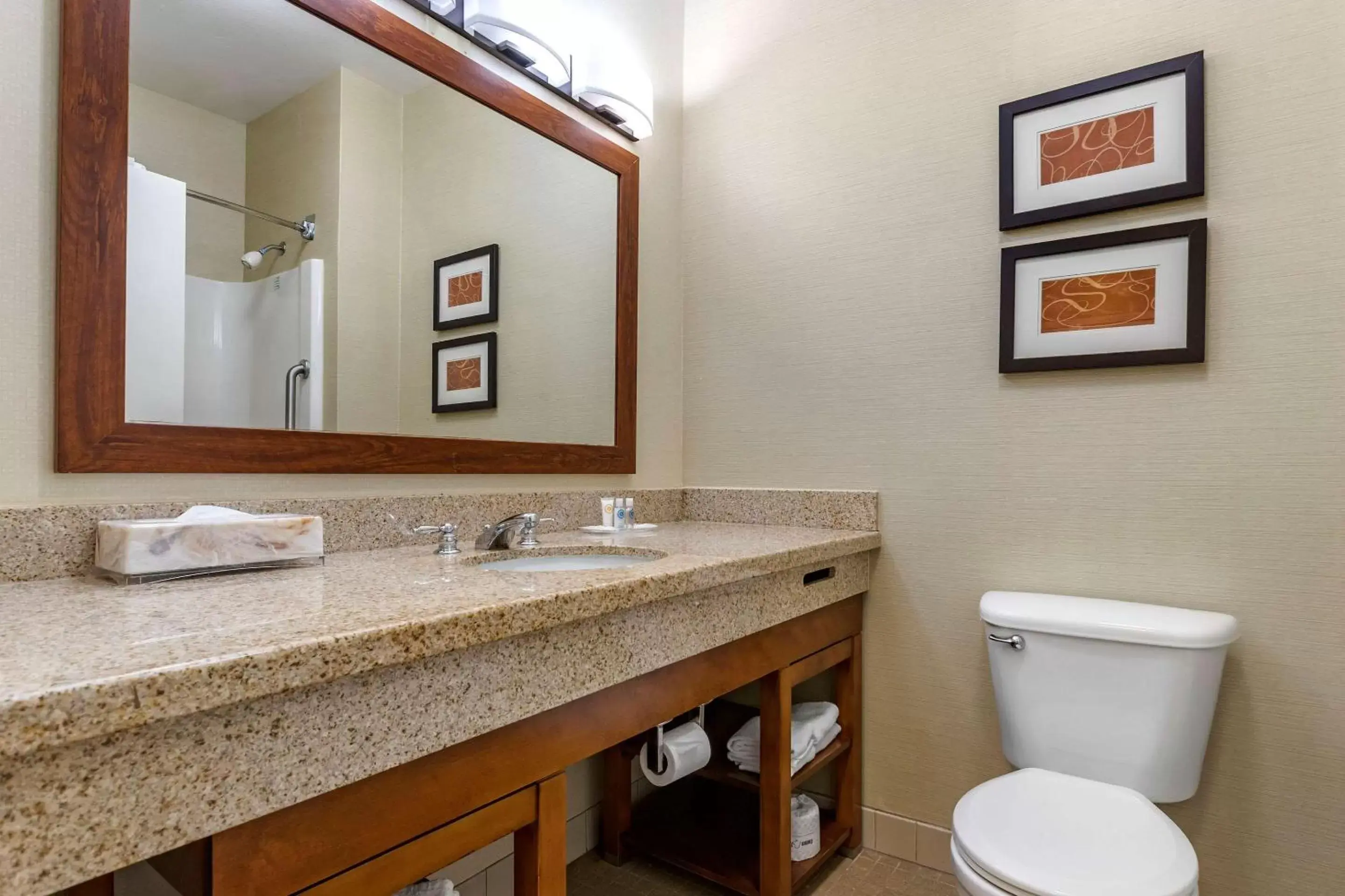 Bathroom in Comfort Suites Coralville I-80