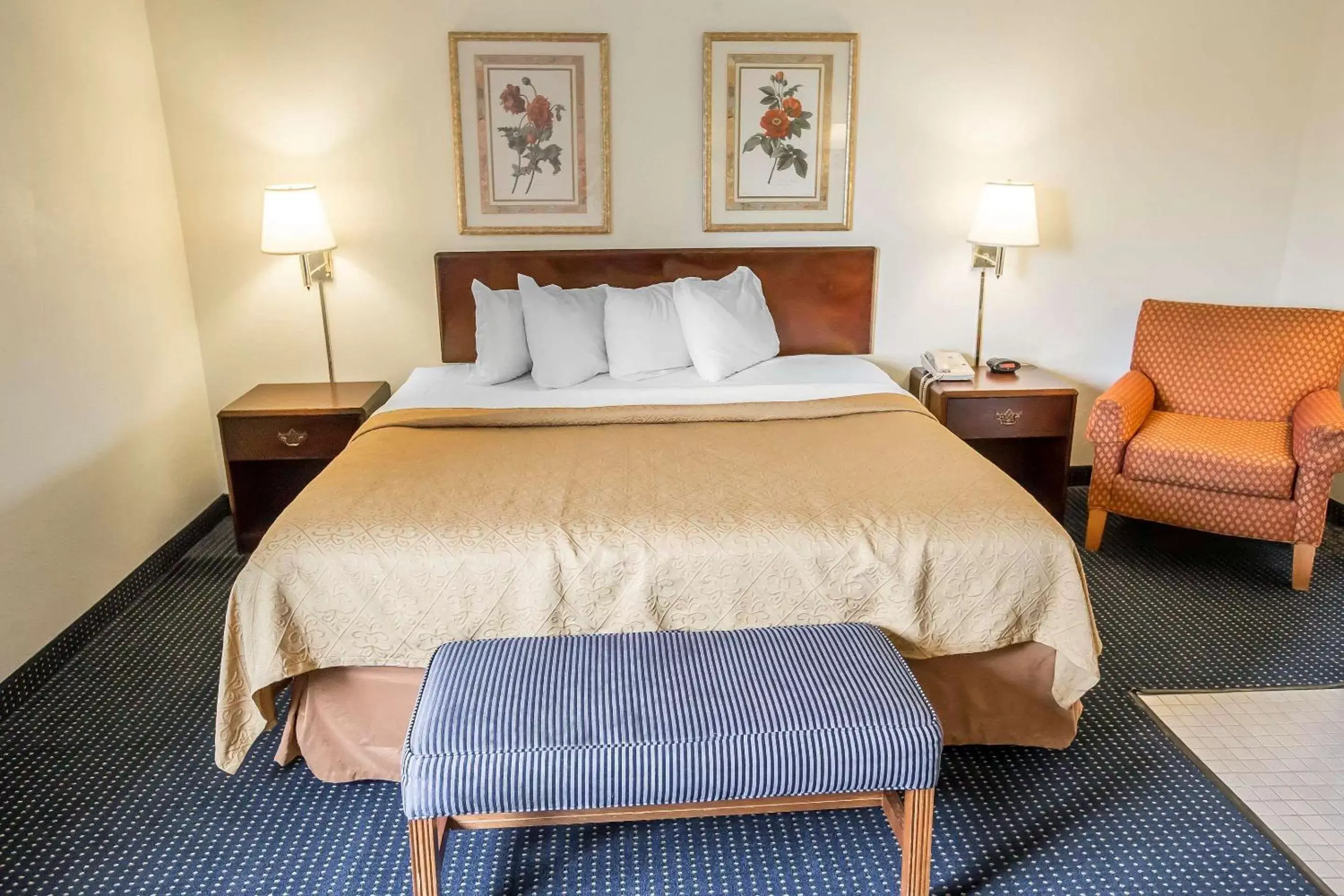 Bedroom, Bed in Quality Inn Dundee Bedroom, Bed in Quality Inn Dundee