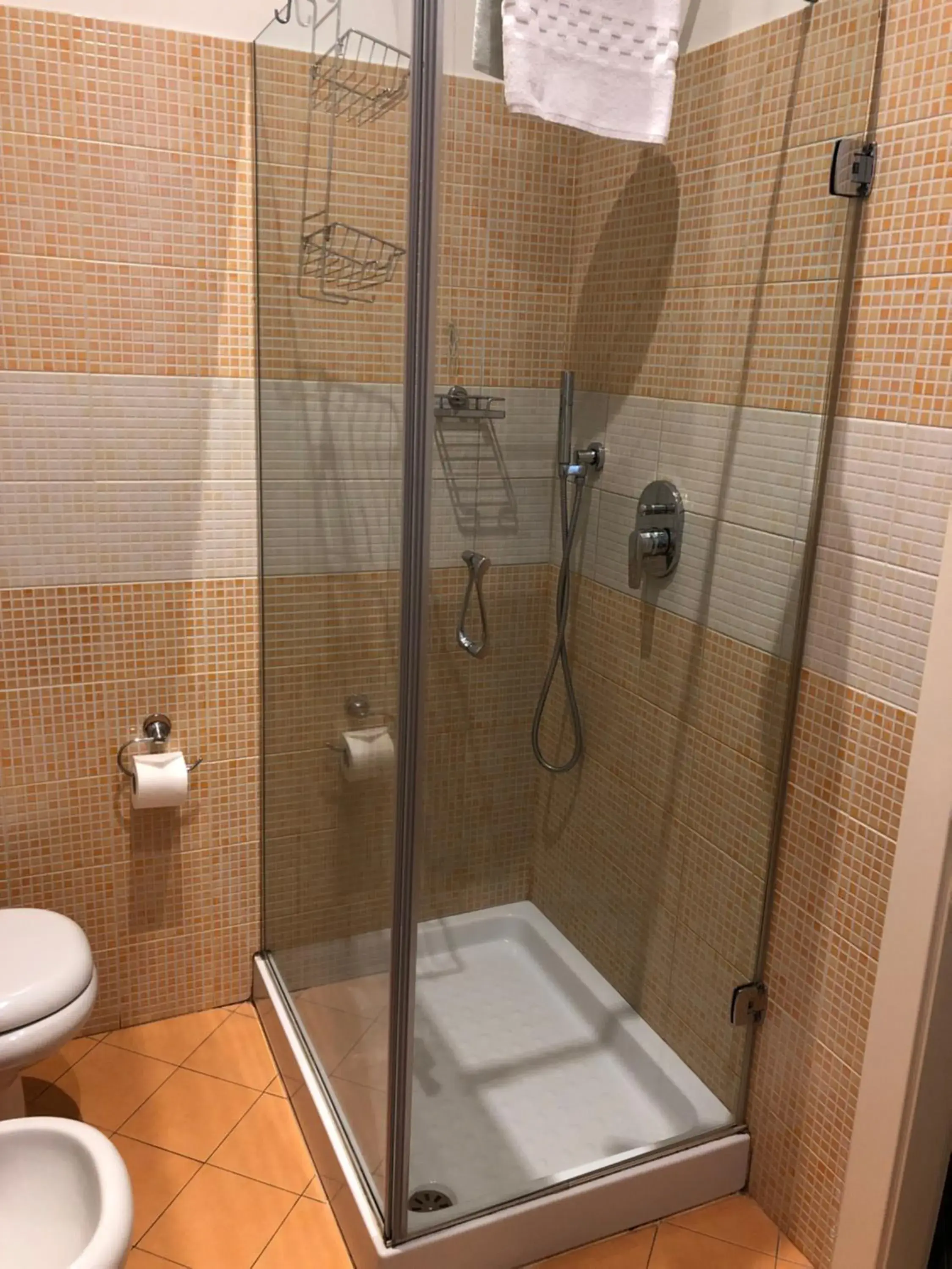 Shower, Bathroom in Hotel La Madonnina