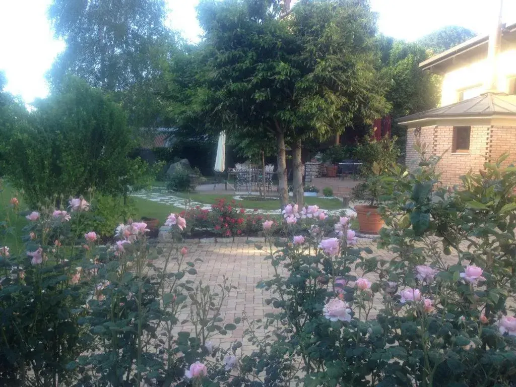 Garden in Hotel Calvi