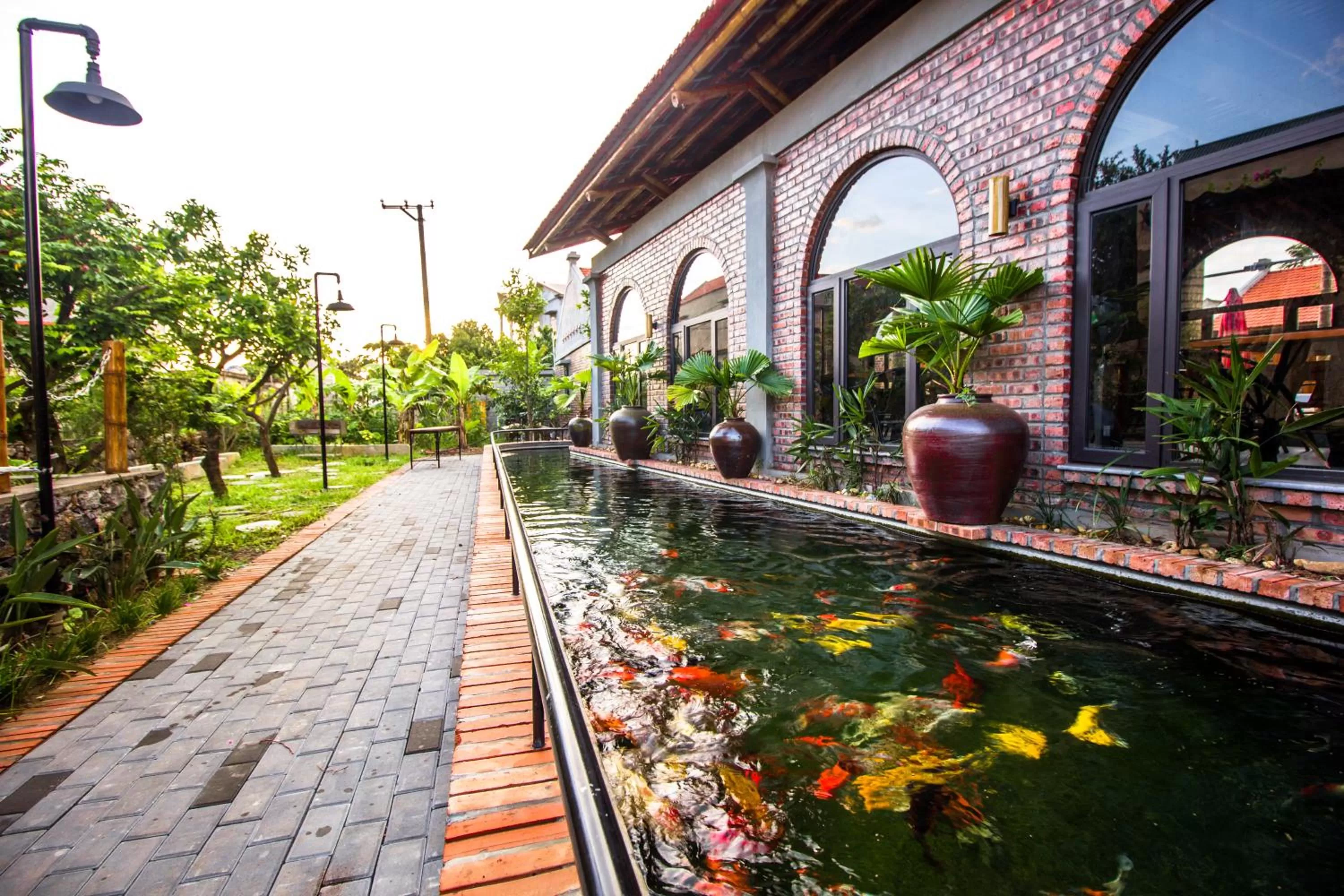 Garden in Tam Coc Banana Bungalow