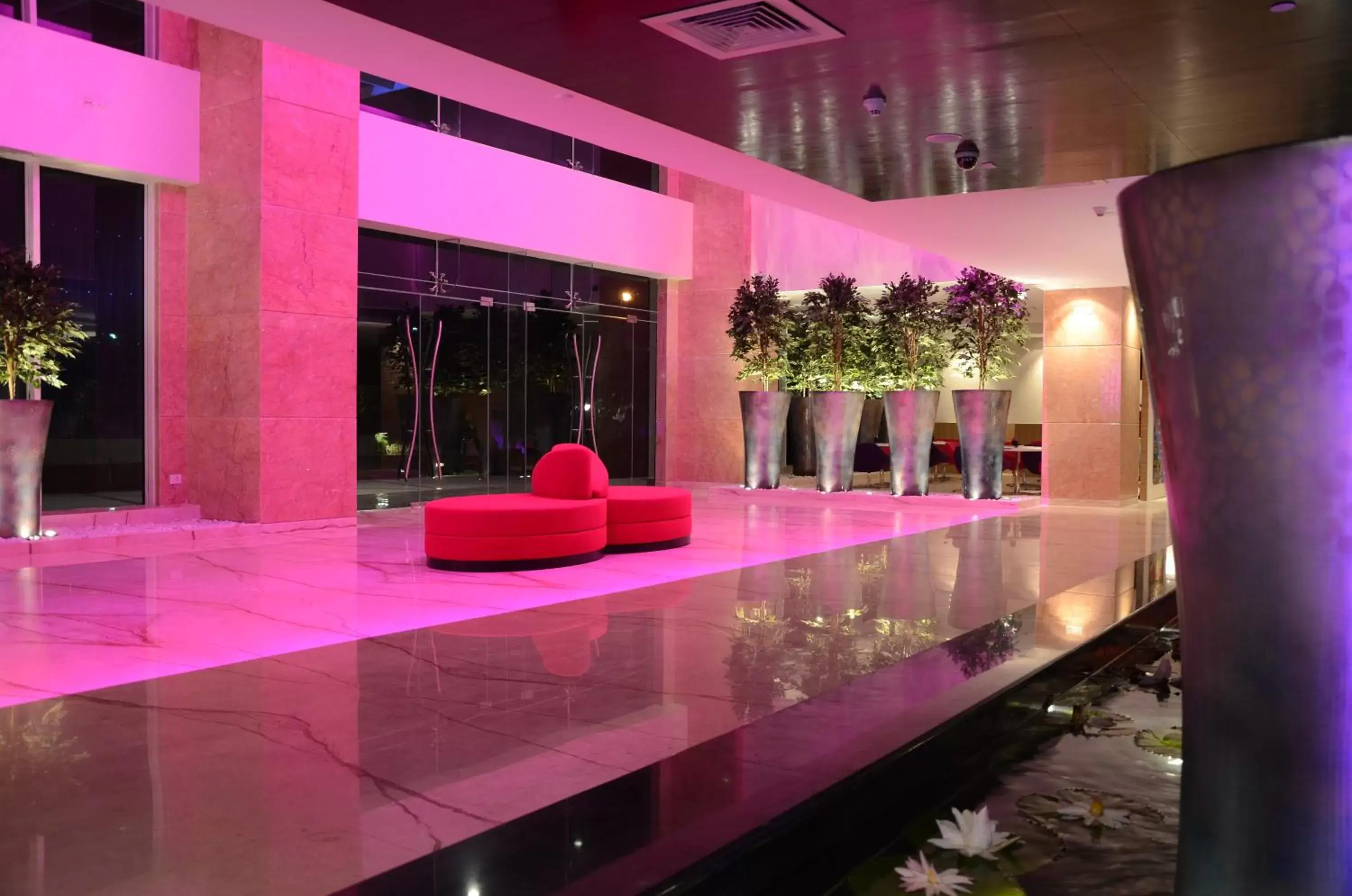 Lobby or reception, Swimming Pool in E Hotel