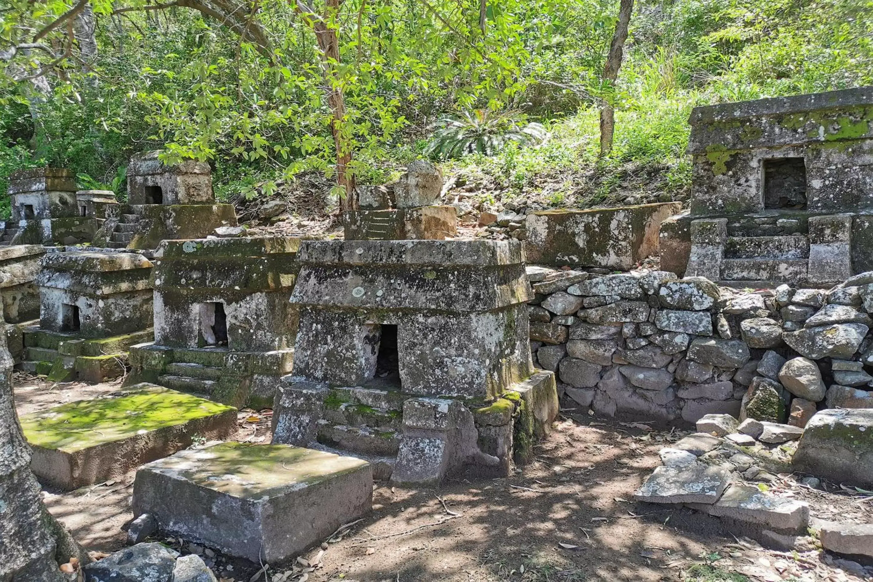 Natural landscape in Rancho Hotel El Carmen