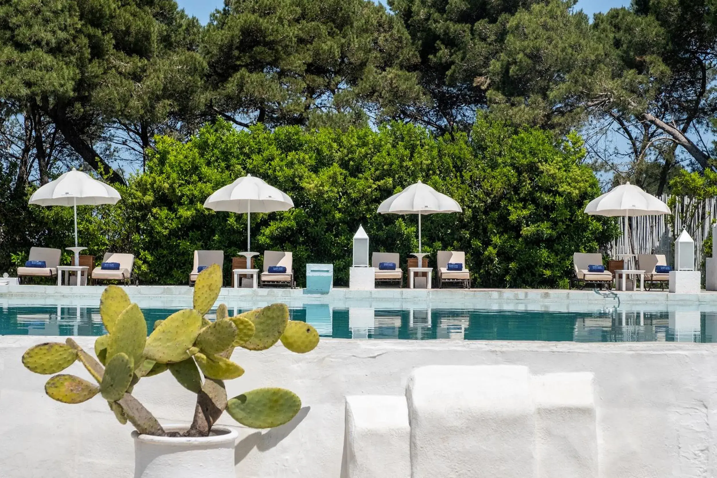 Pool view, Swimming Pool in Baglioni Masseria Muzza