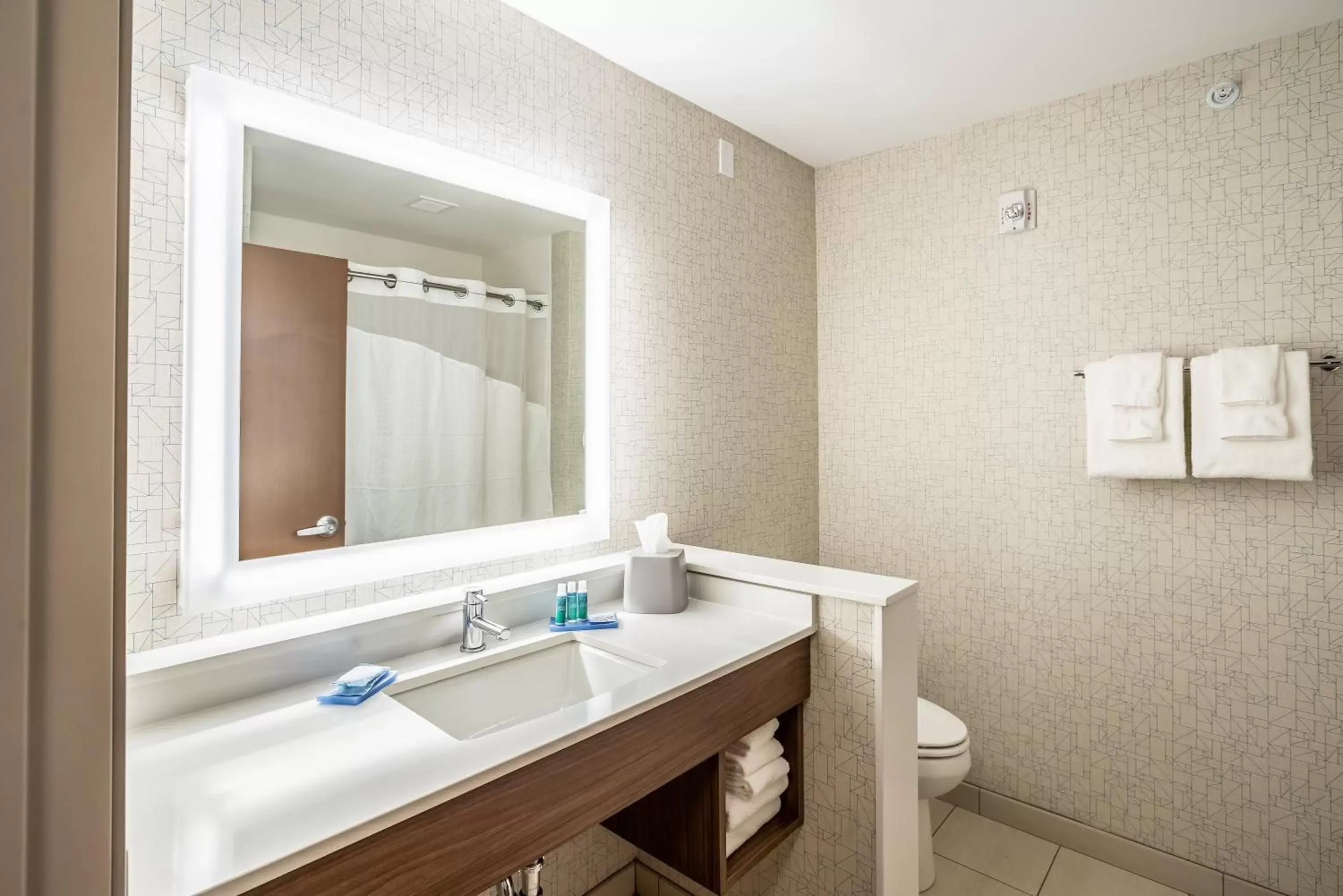 Photo of the whole room, Bathroom in Holiday Inn Express & Suites Platteville, an IHG Hotel