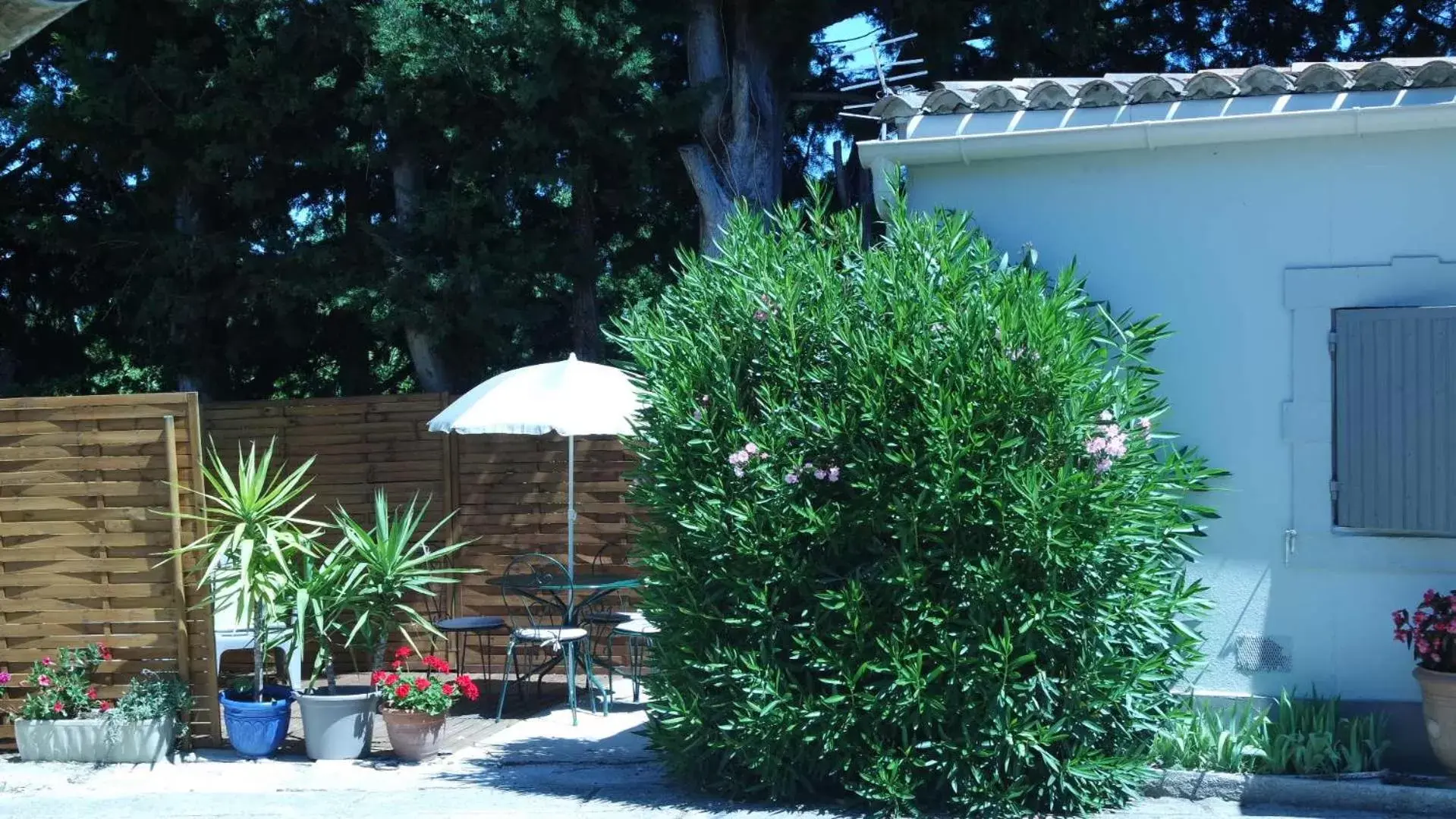 Patio in Mas Grimaud - Gîte- Studio et chambres d'hôtes familiales