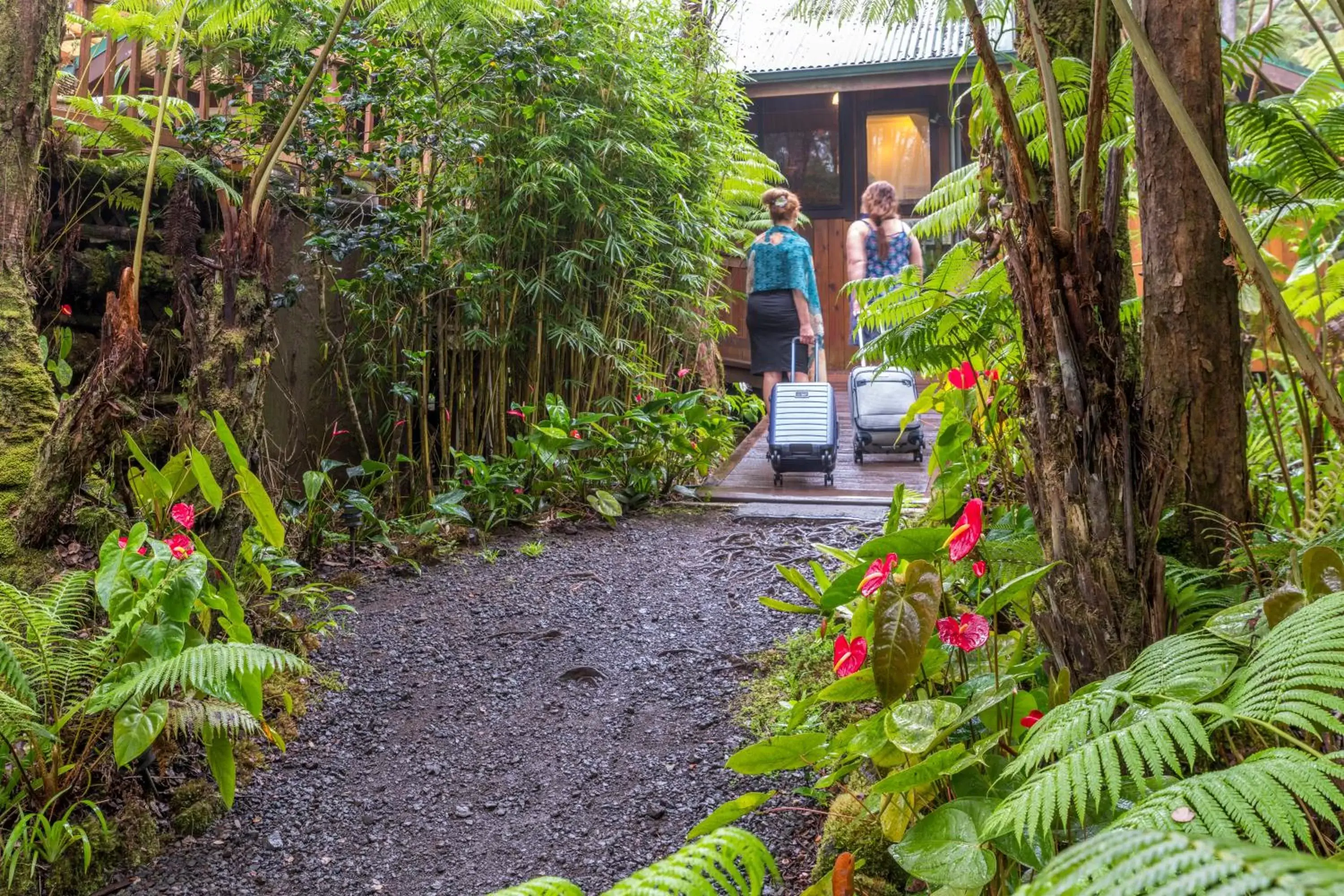 Natural landscape in Volcano Village Lodge