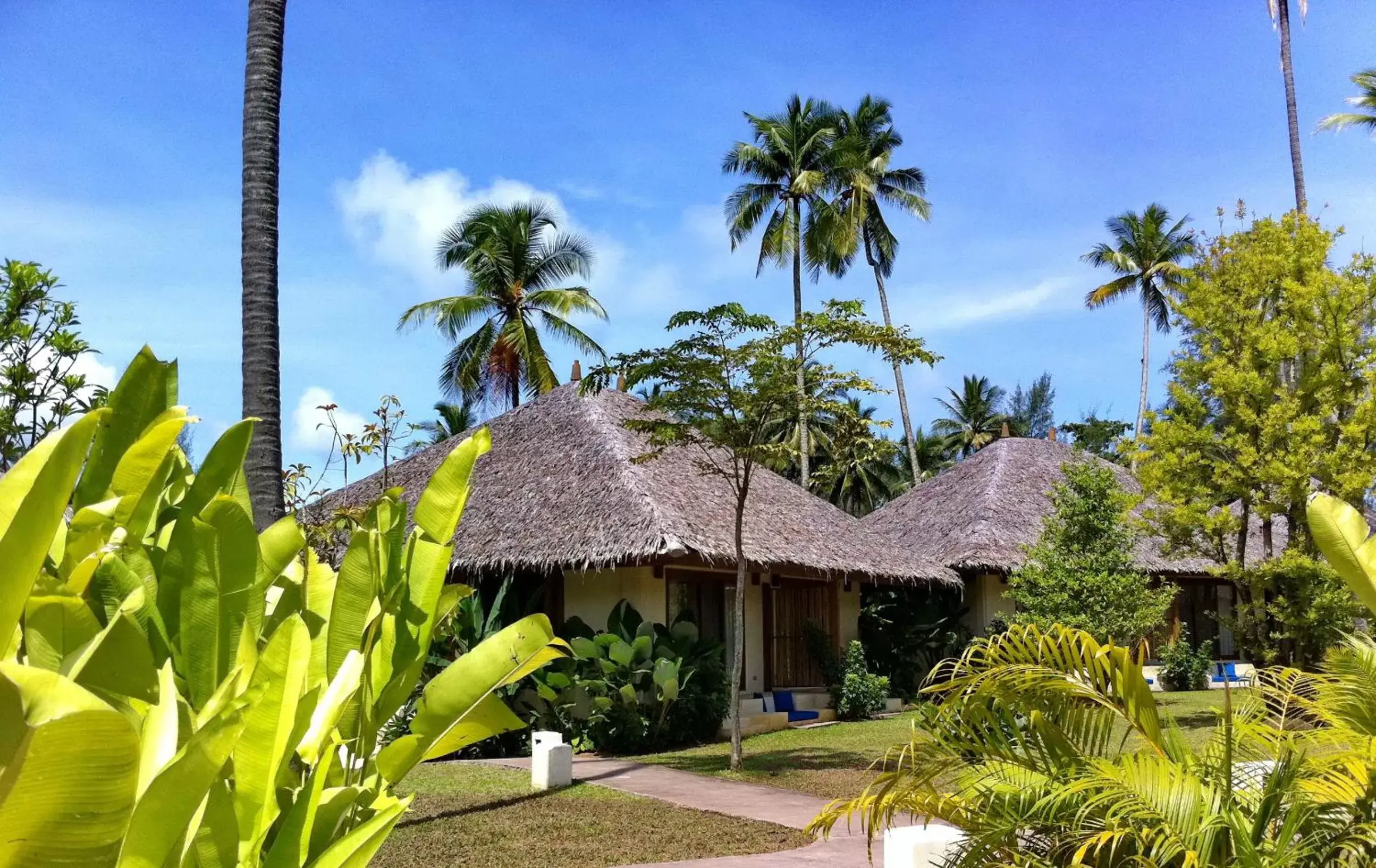 Garden view in Bangsak Village - Adults Only - SHA Extra Plus Garden view in Bangsak Village - Adults Only - SHA Extra Plus