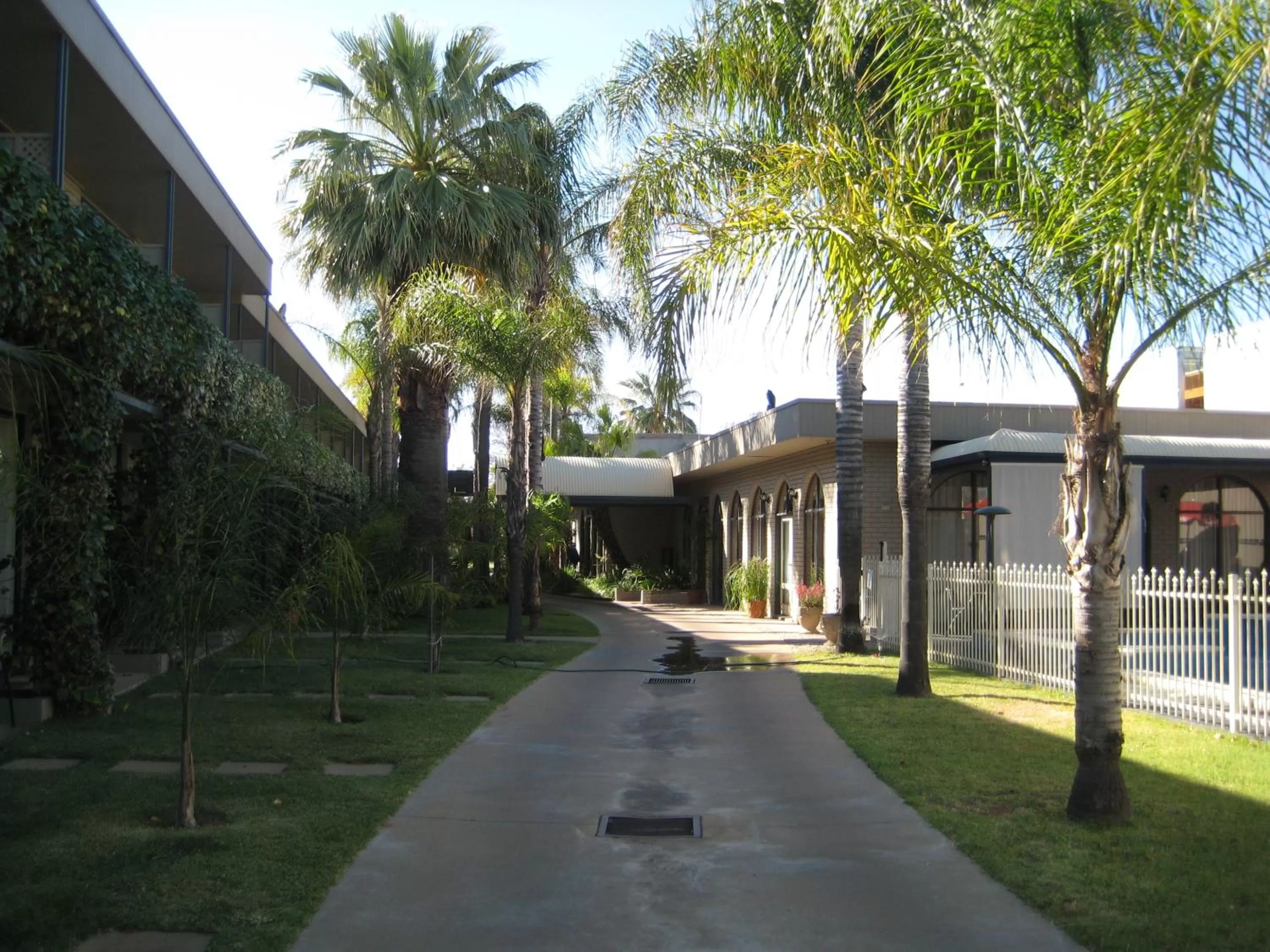 Garden in Sandors Motor Inn