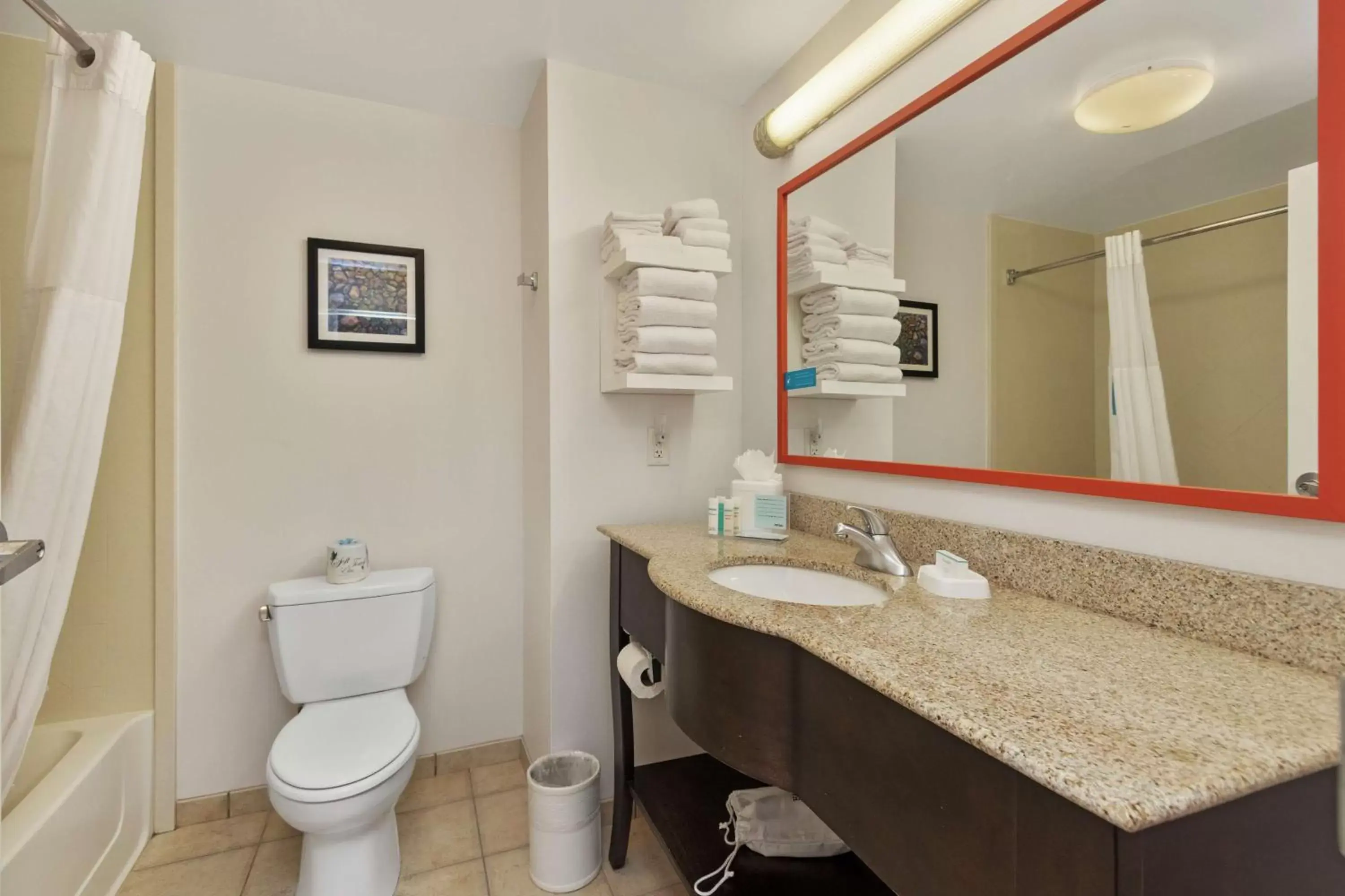 Bathroom in Hampton Inn & Suites Orlando-Apopka