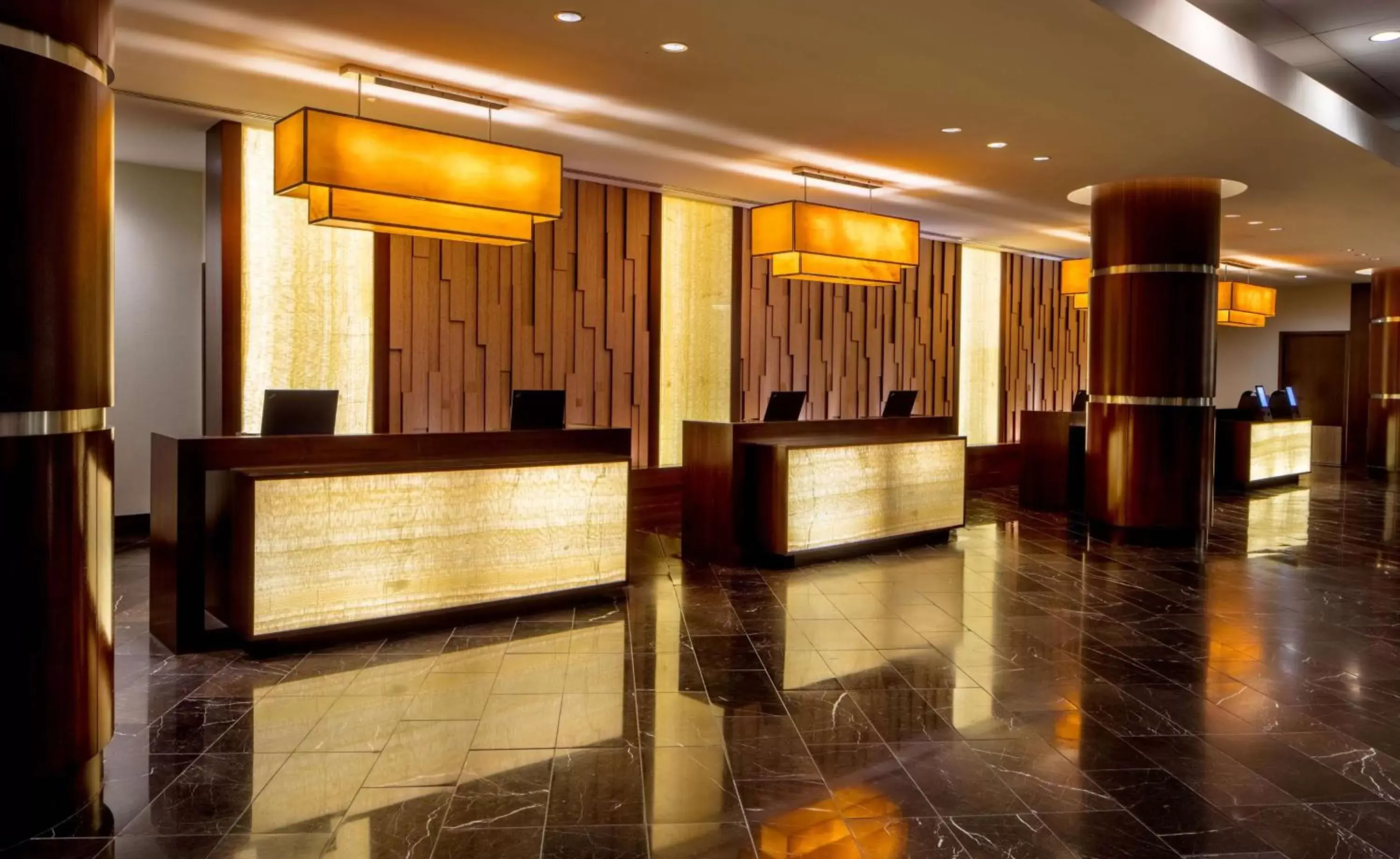 Lobby or reception, Lobby/Reception in Hyatt Regency Crystal City at Reagan National Airport