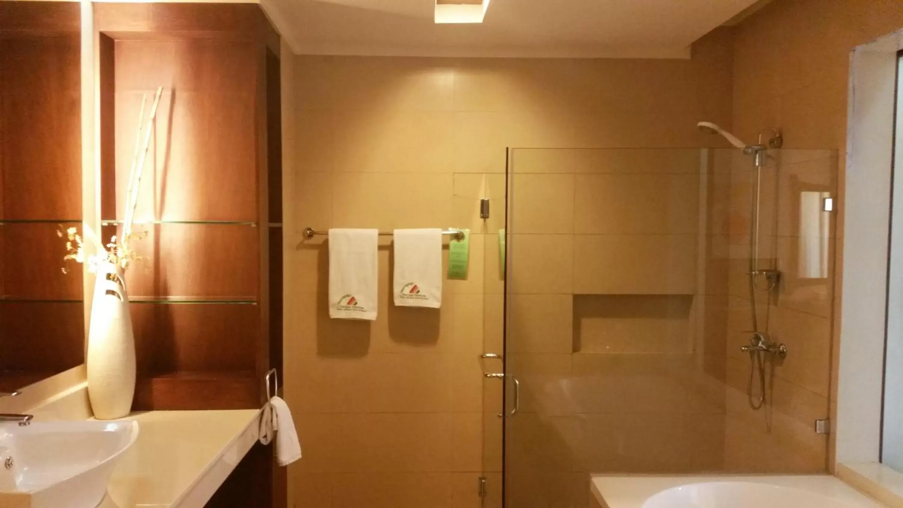 Shower, Bathroom in Coron Gateway Hotel & Suites