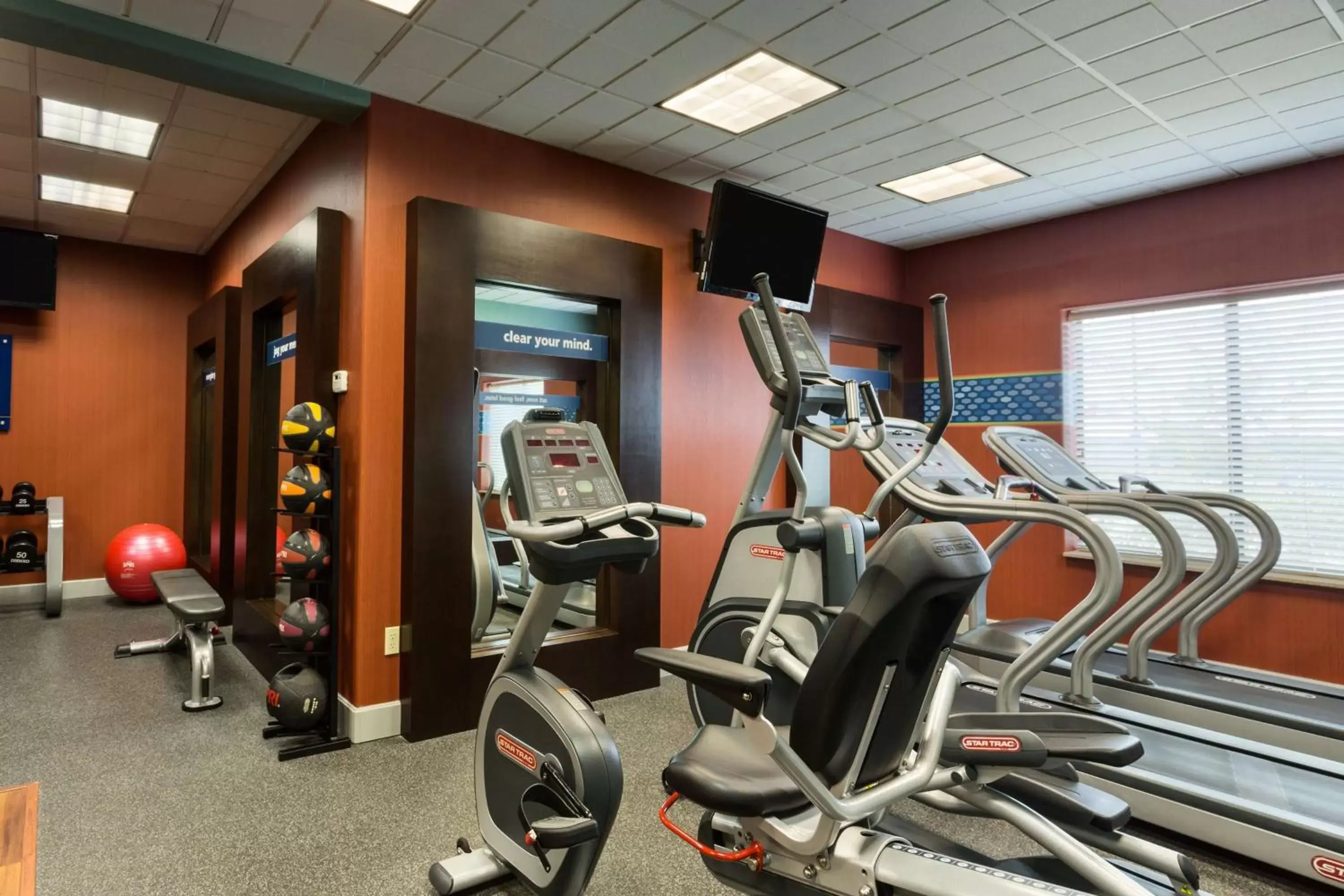 Fitness centre/facilities, Fitness Center/Facilities in Hampton Inn & Suites Pharr