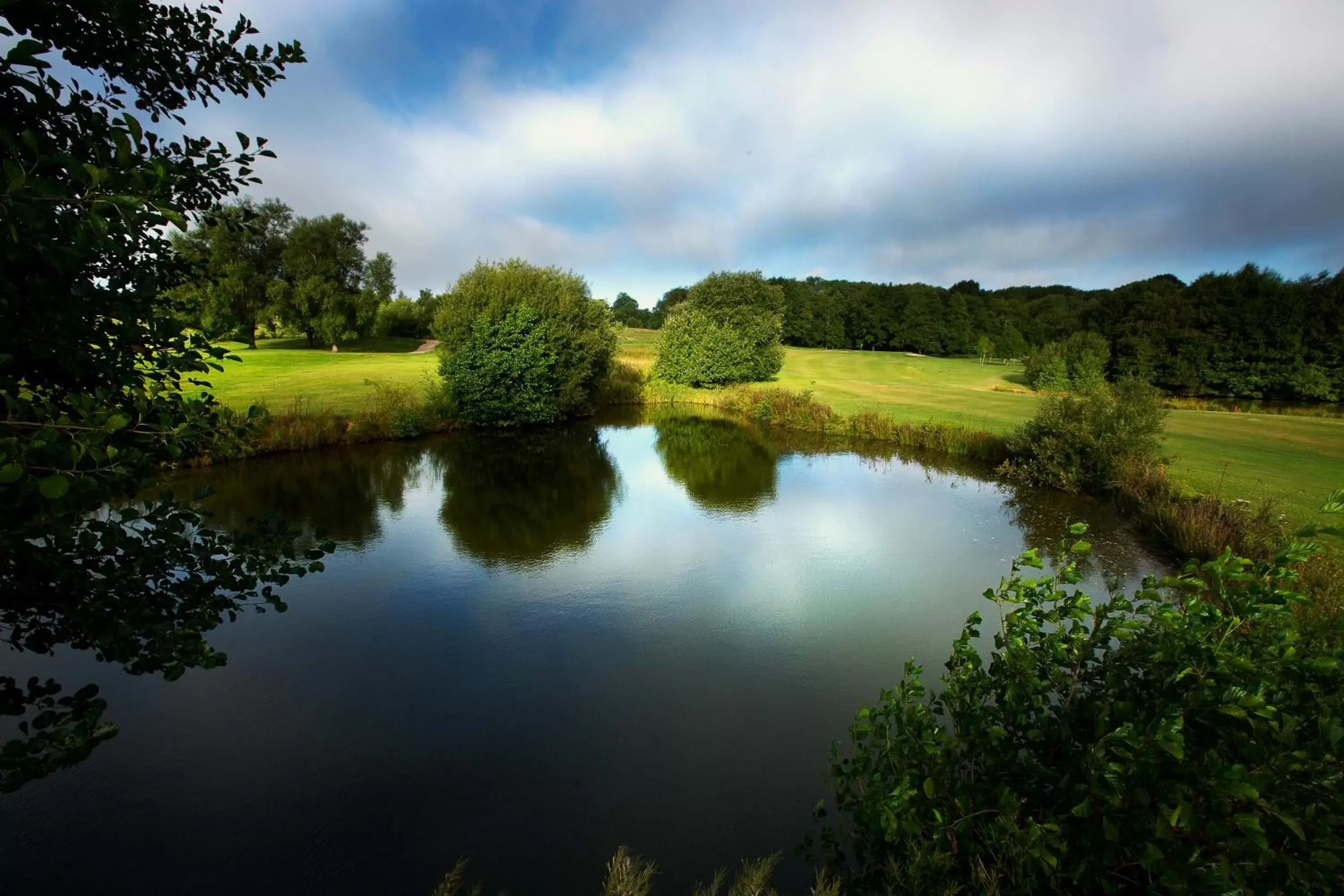 Golfcourse, Natural Landscape in Sandford Springs Hotel and Golf Club