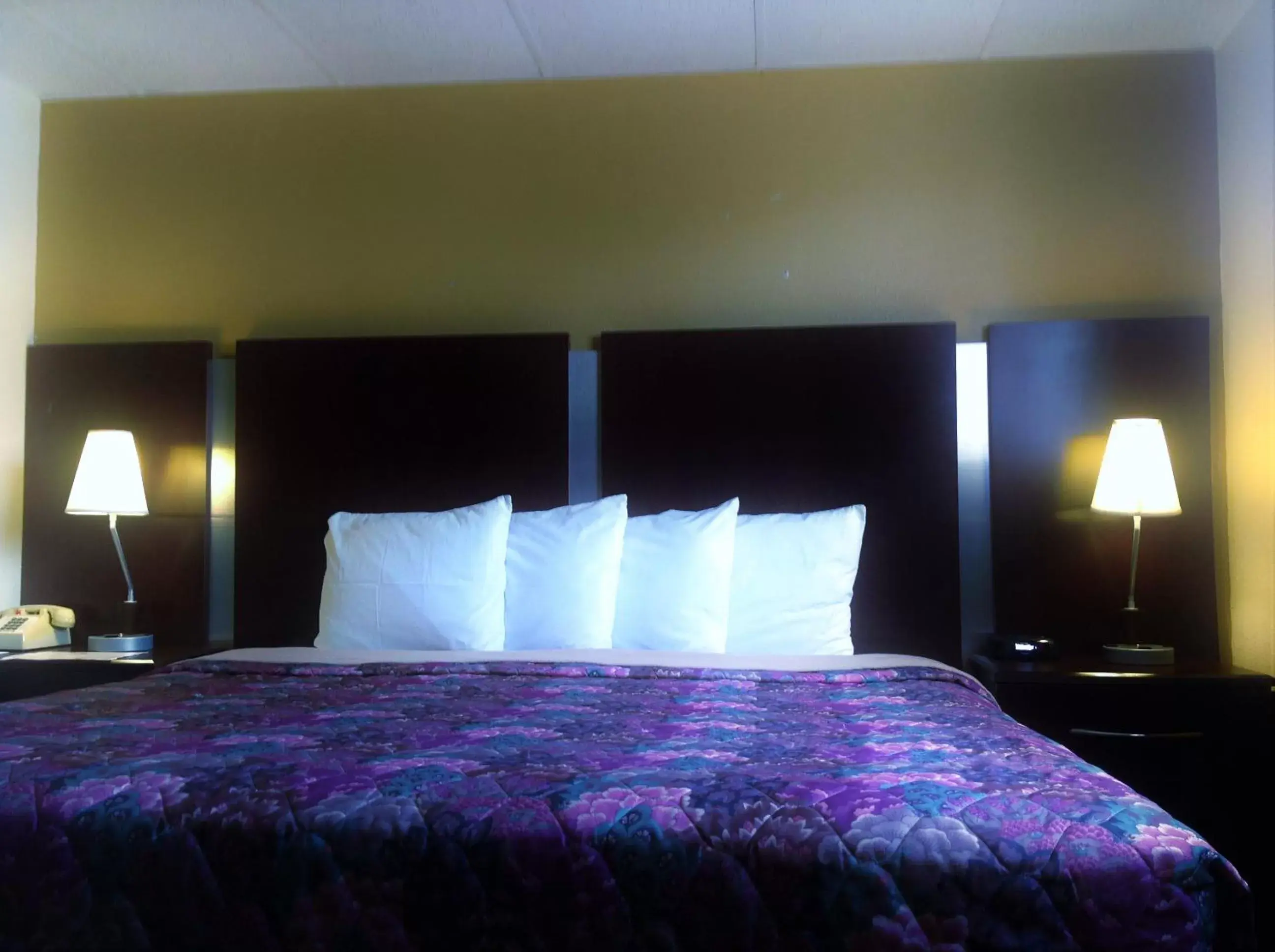 Bed, Room Photo in Knights Inn Longview
