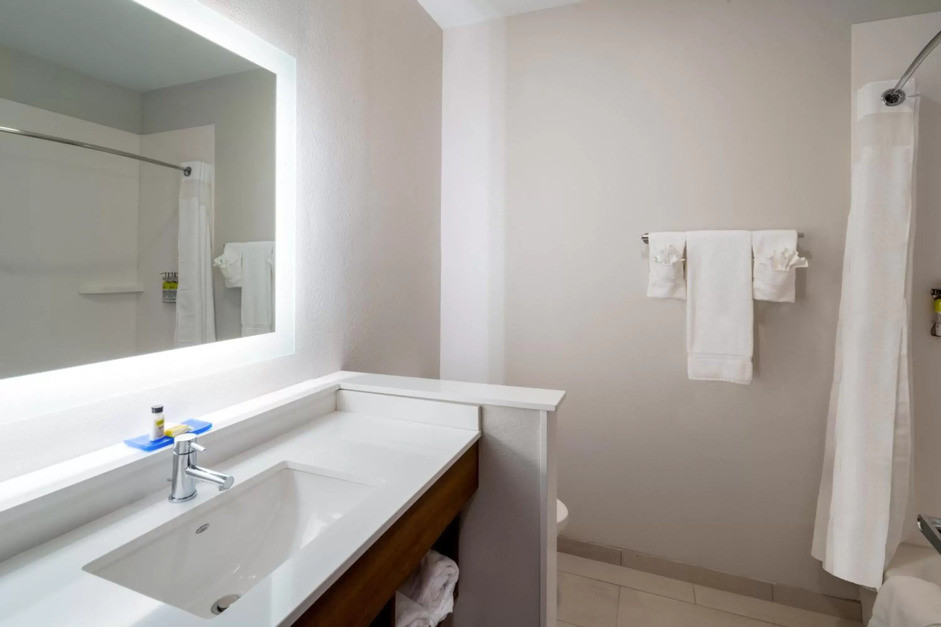 Bathroom in Holiday Inn Express & Suites - St Peters, an IHG Hotel