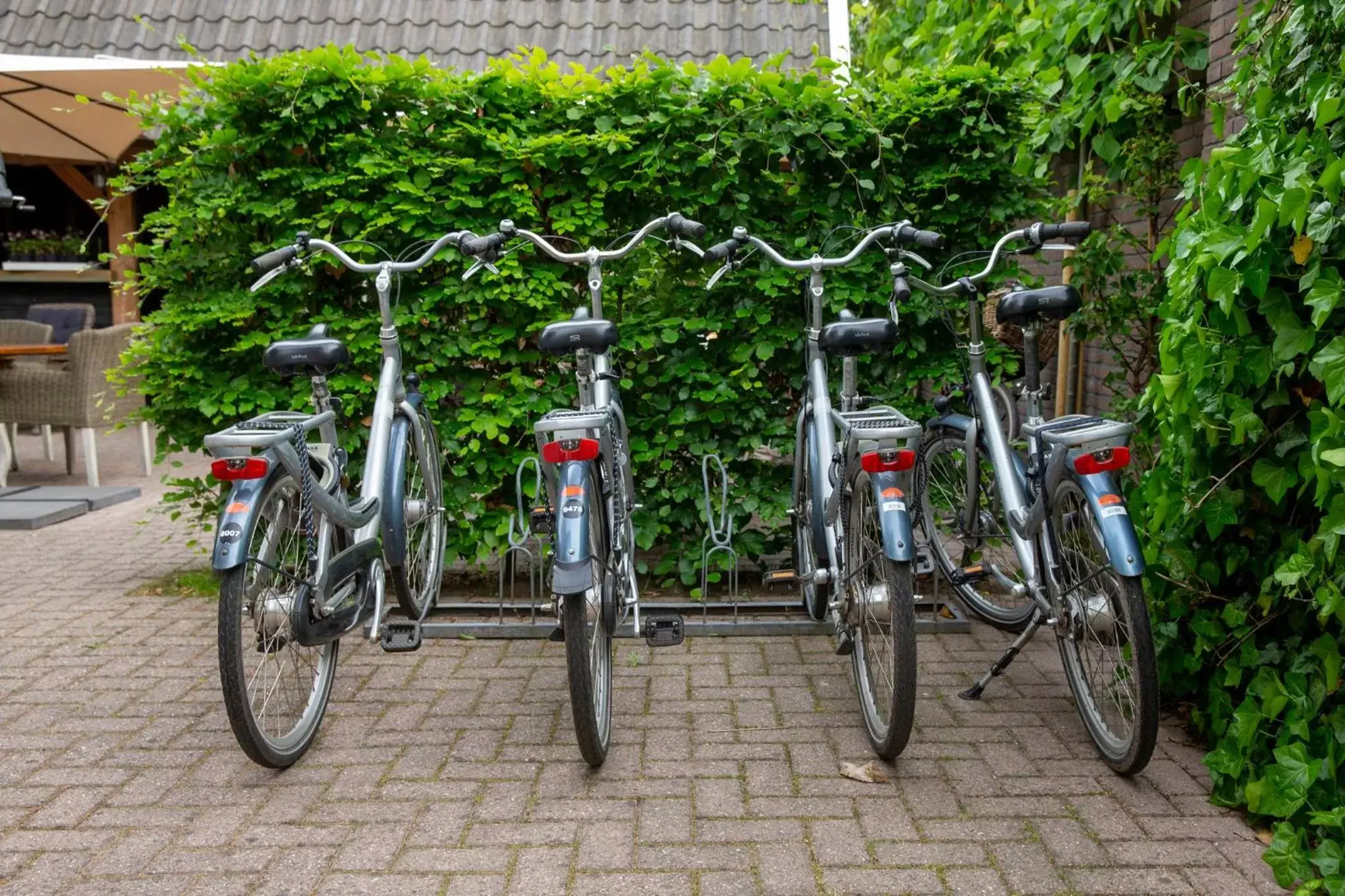 Biking in Zenzez Hotel & Lounge