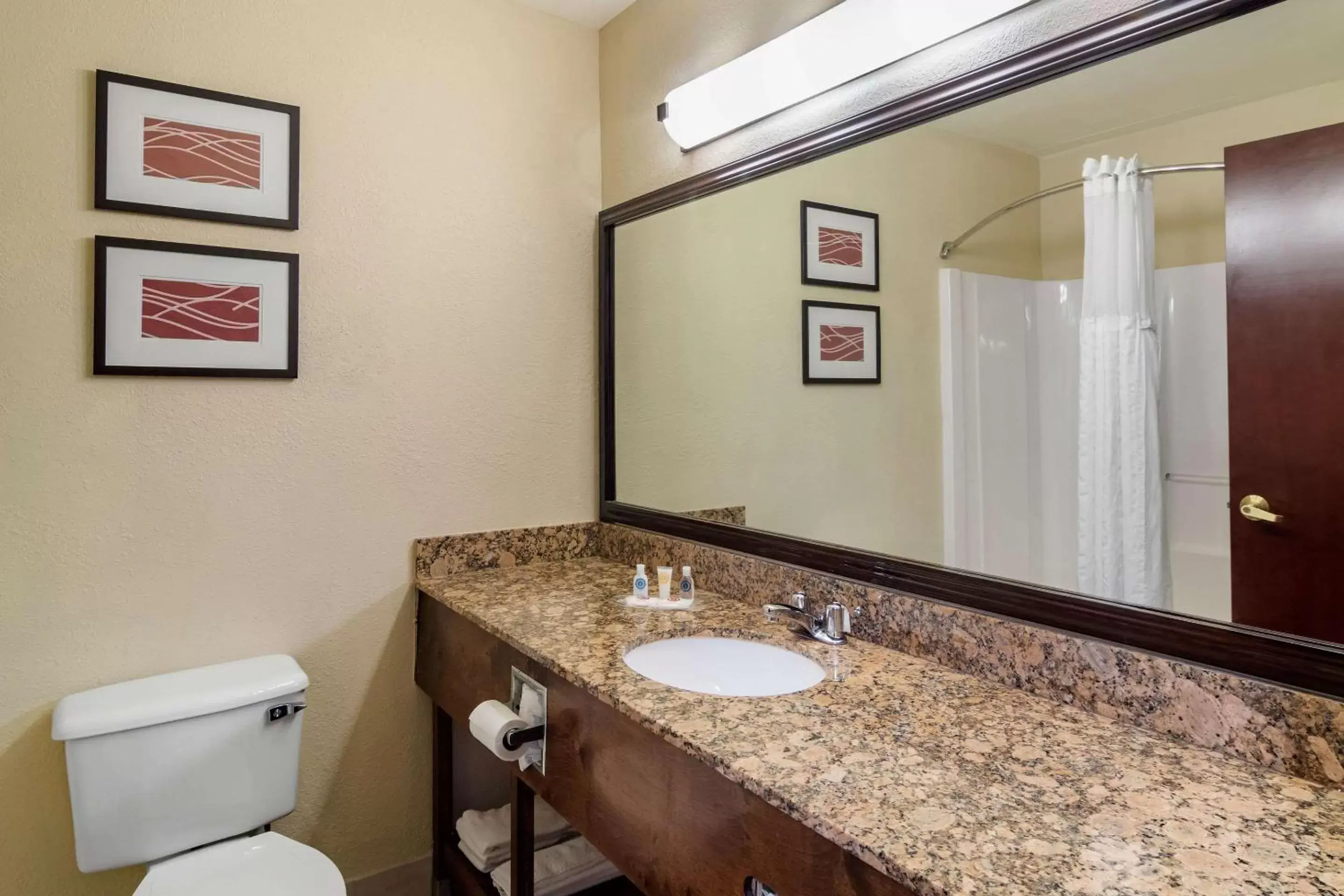 Bathroom in Comfort Inn and Suites