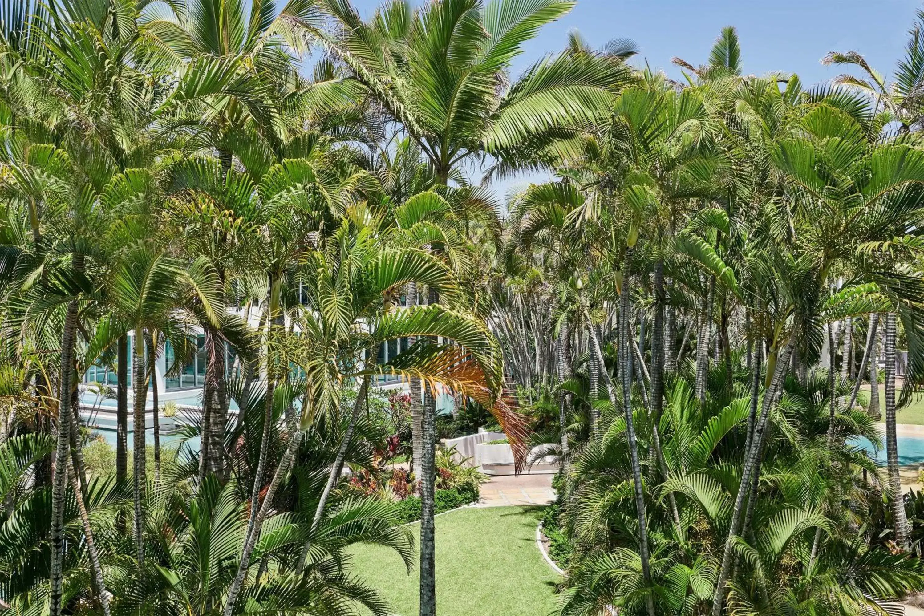 Photo of the whole room in Sheraton Grand Mirage Resort Gold Coast