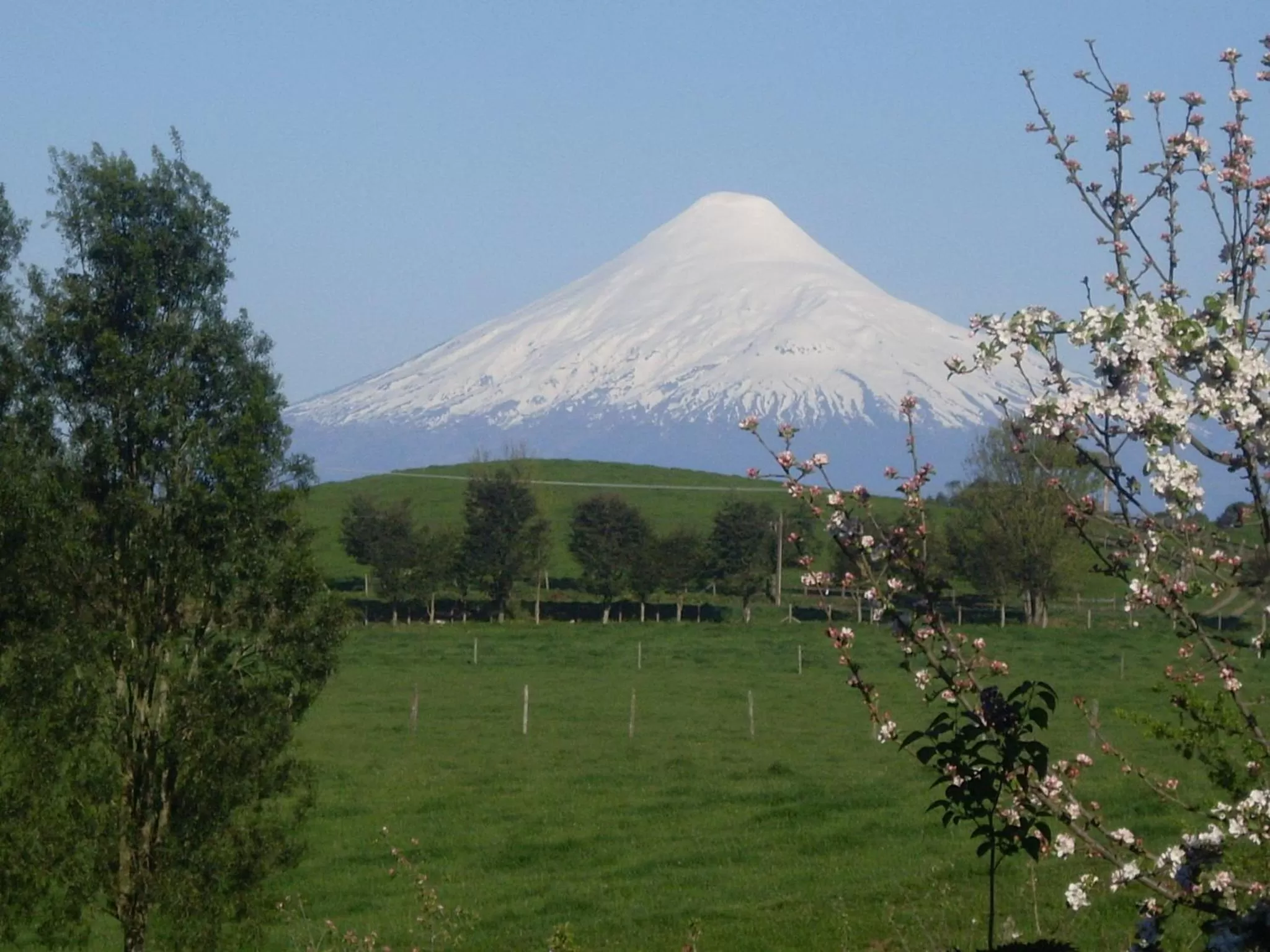 Garden in Hostal Zapato Amarillo