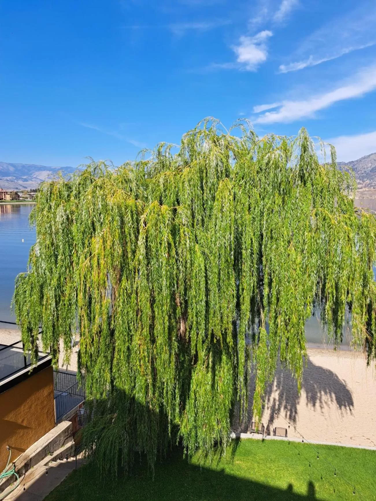 Natural landscape in Richter Pass Beach Resort