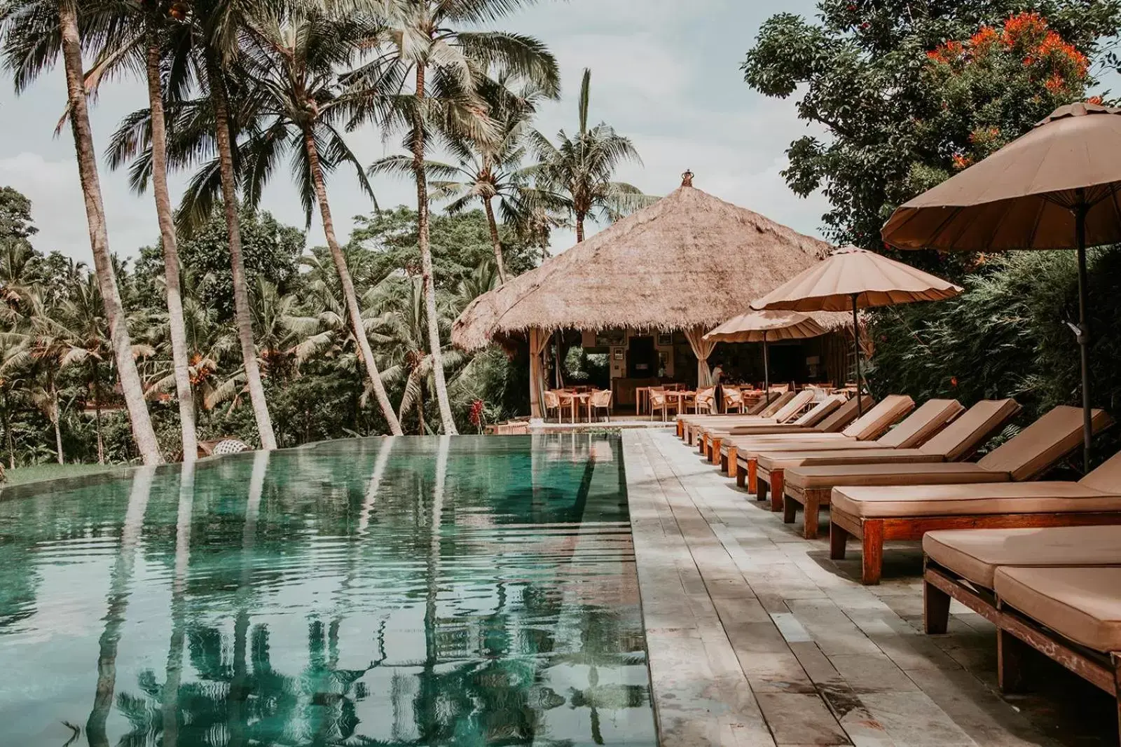 Restaurant/places to eat, Swimming Pool in MATHIS Retreat Ubud