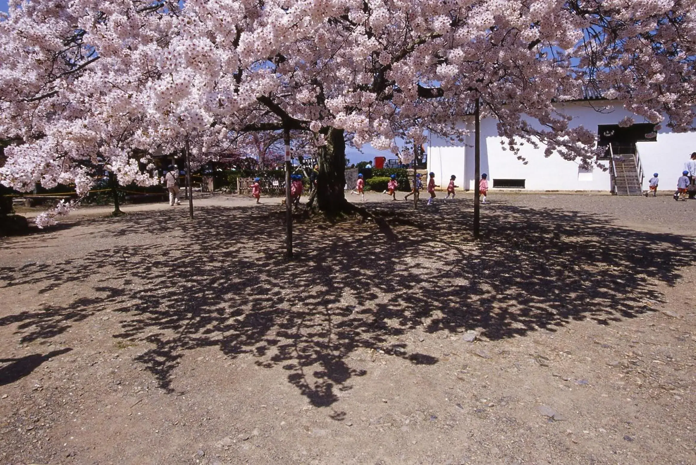 Nearby landmark in Apa Hotel Hikone Minami