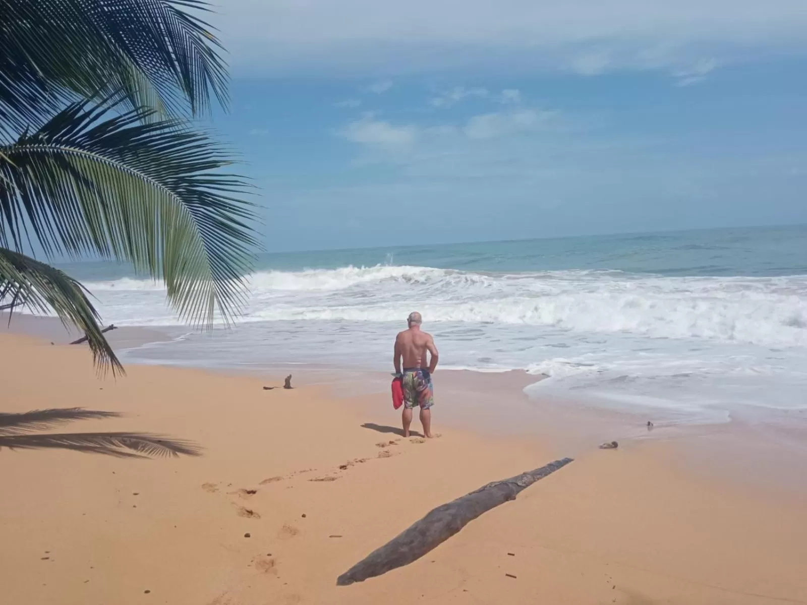 La Luciernaga Big Creek