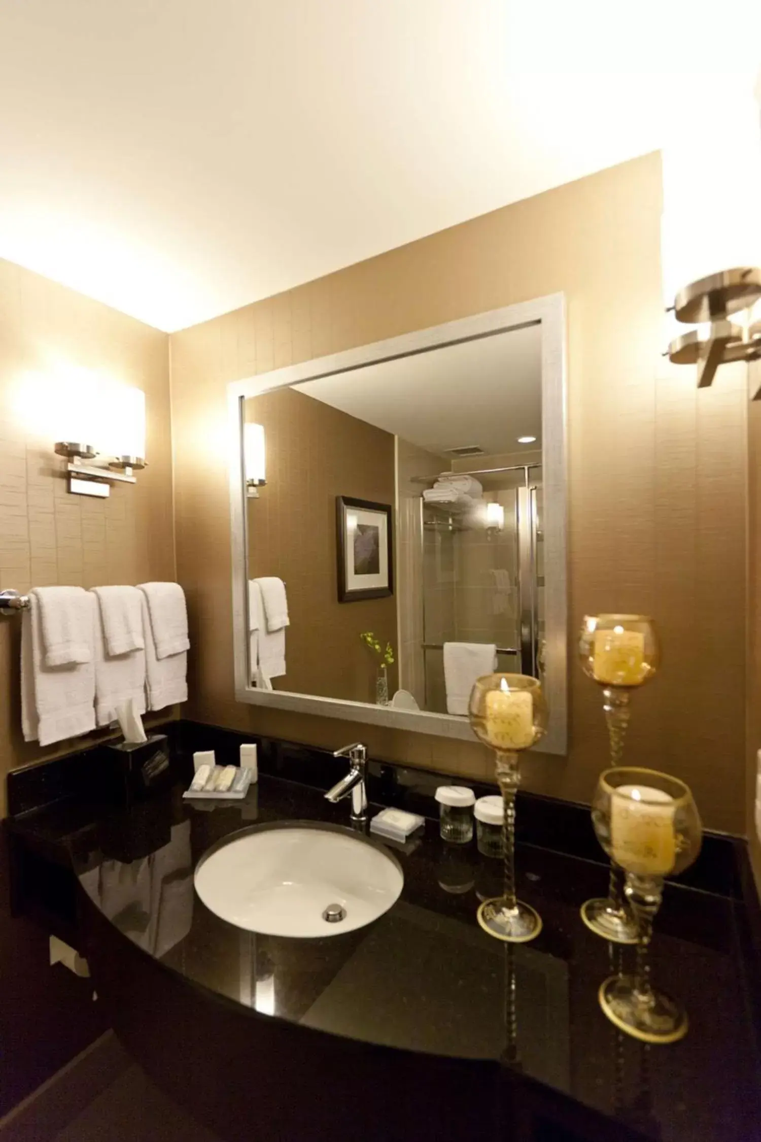 Bathroom in Hilton Garden Inn Toronto/Brampton