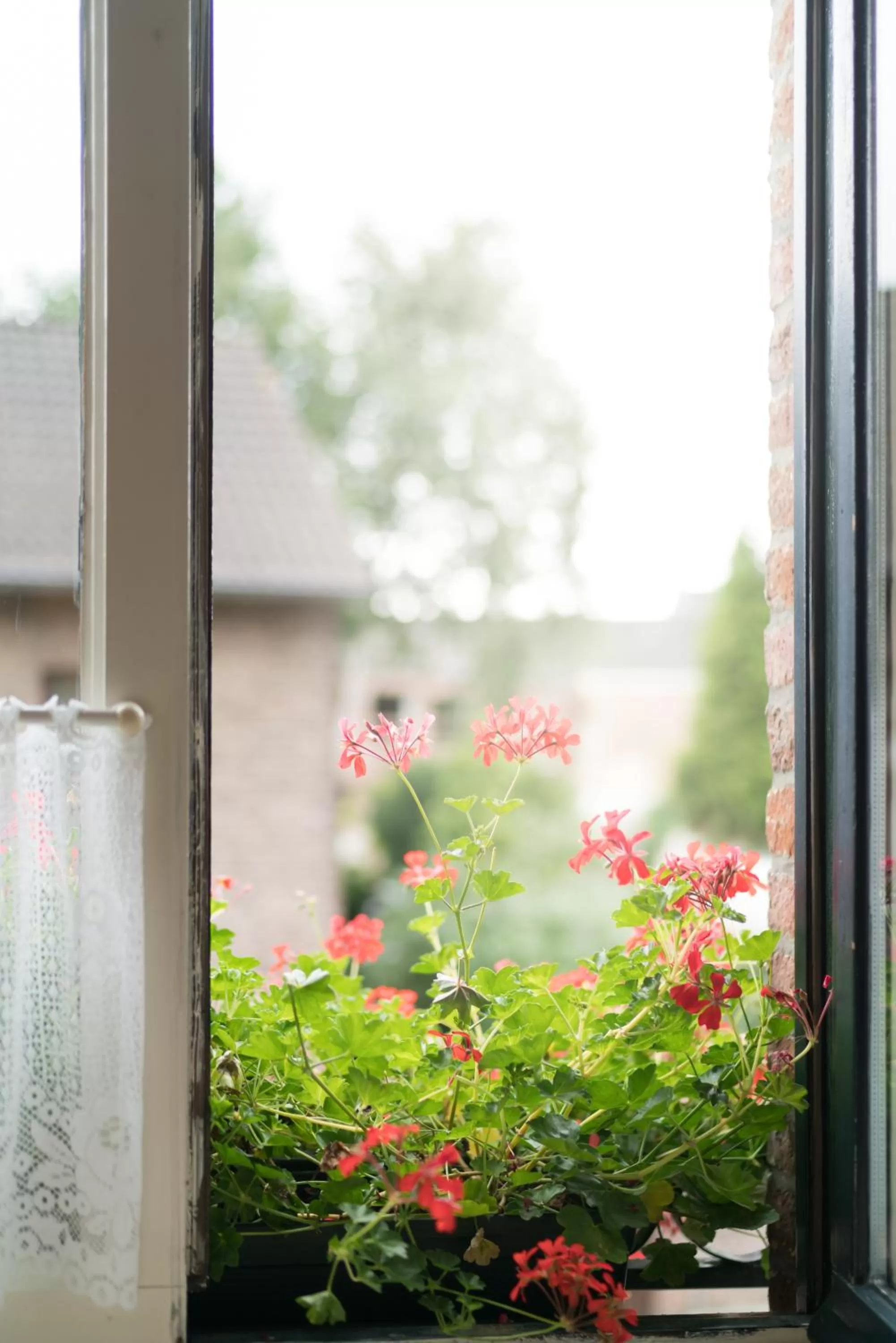 Summer in Gasterij de Poort