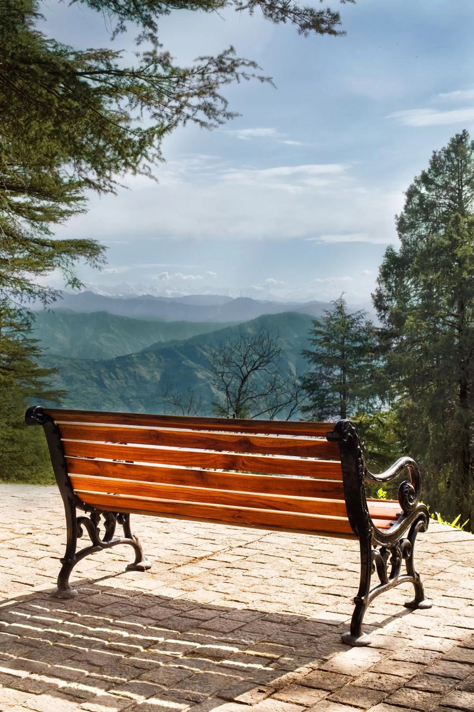 Natural landscape in Wildflower Hall, An Oberoi Resort, Shimla