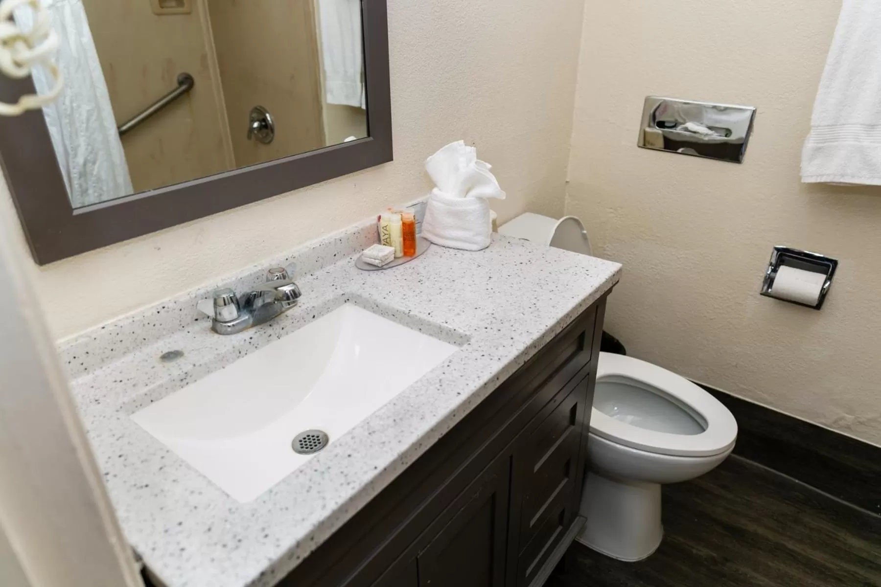 Bathroom in Anaheim Discovery Inn and Suites