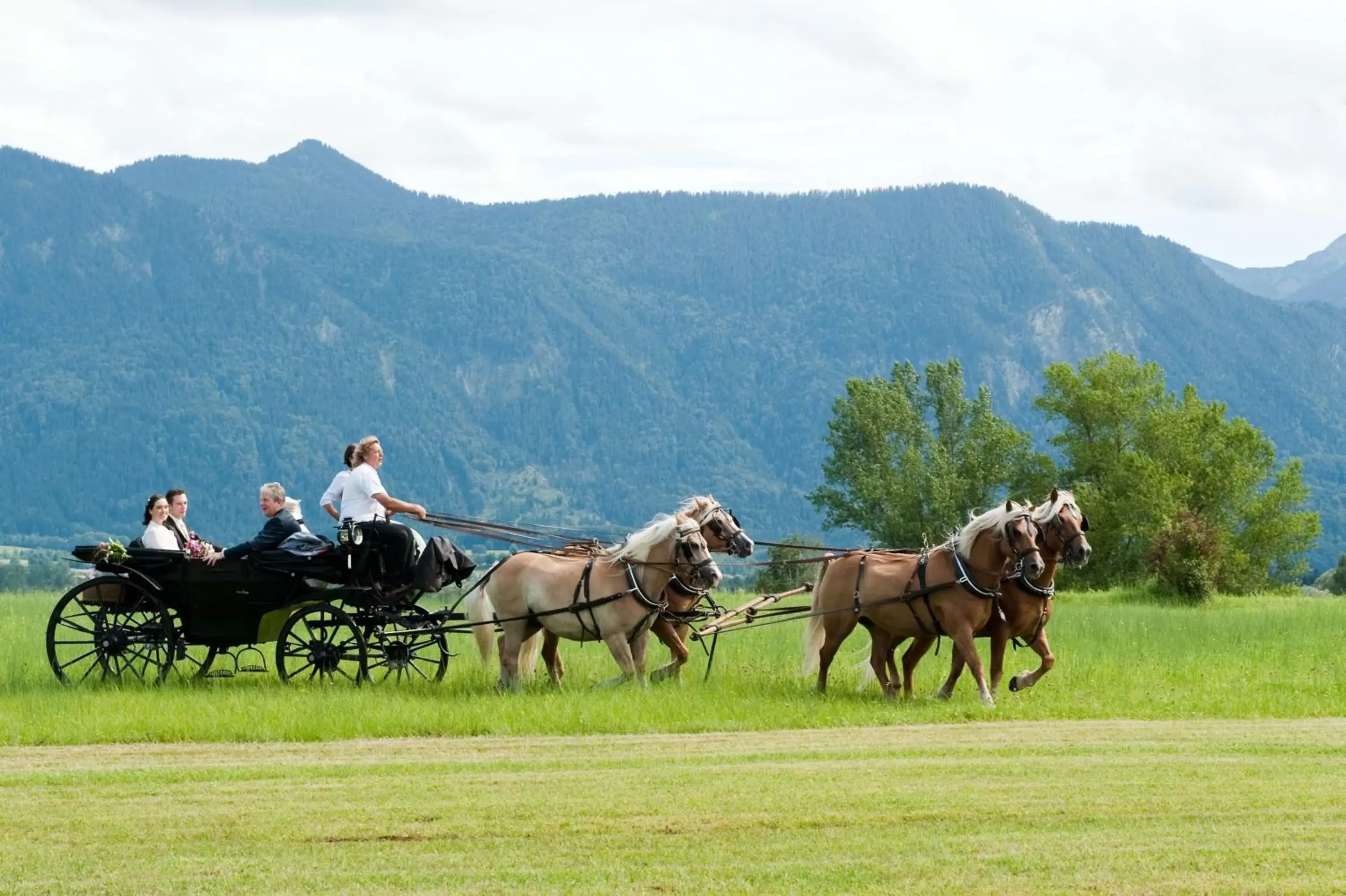 Area and facilities, Horseback Riding in Alpenhof Murnau