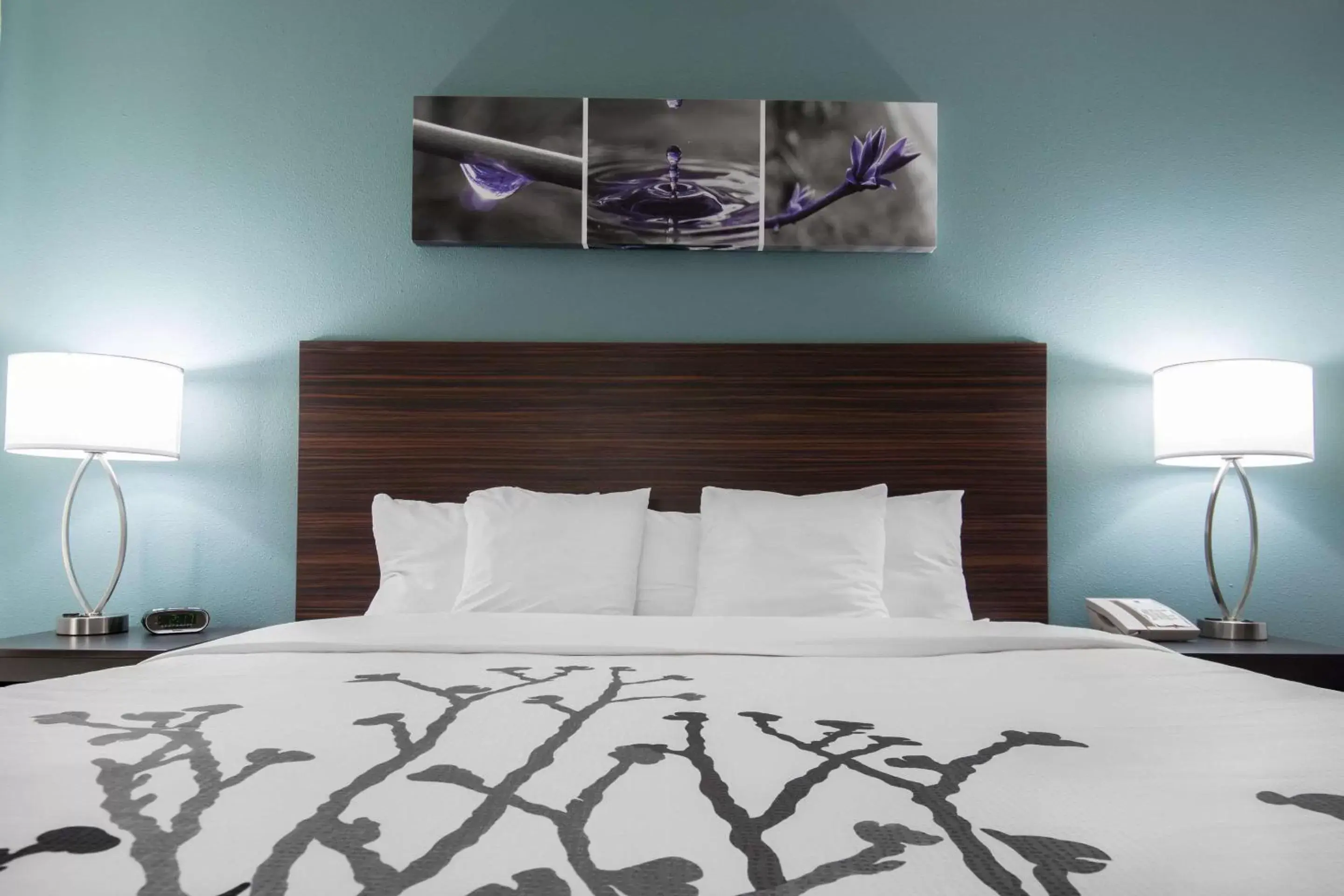 Photo of the whole room, Bed in Sleep Inn & Suites Washington near Peoria