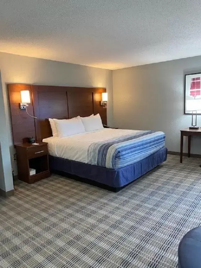 Guests, Bed in AmericInn by Wyndham Williamsburg